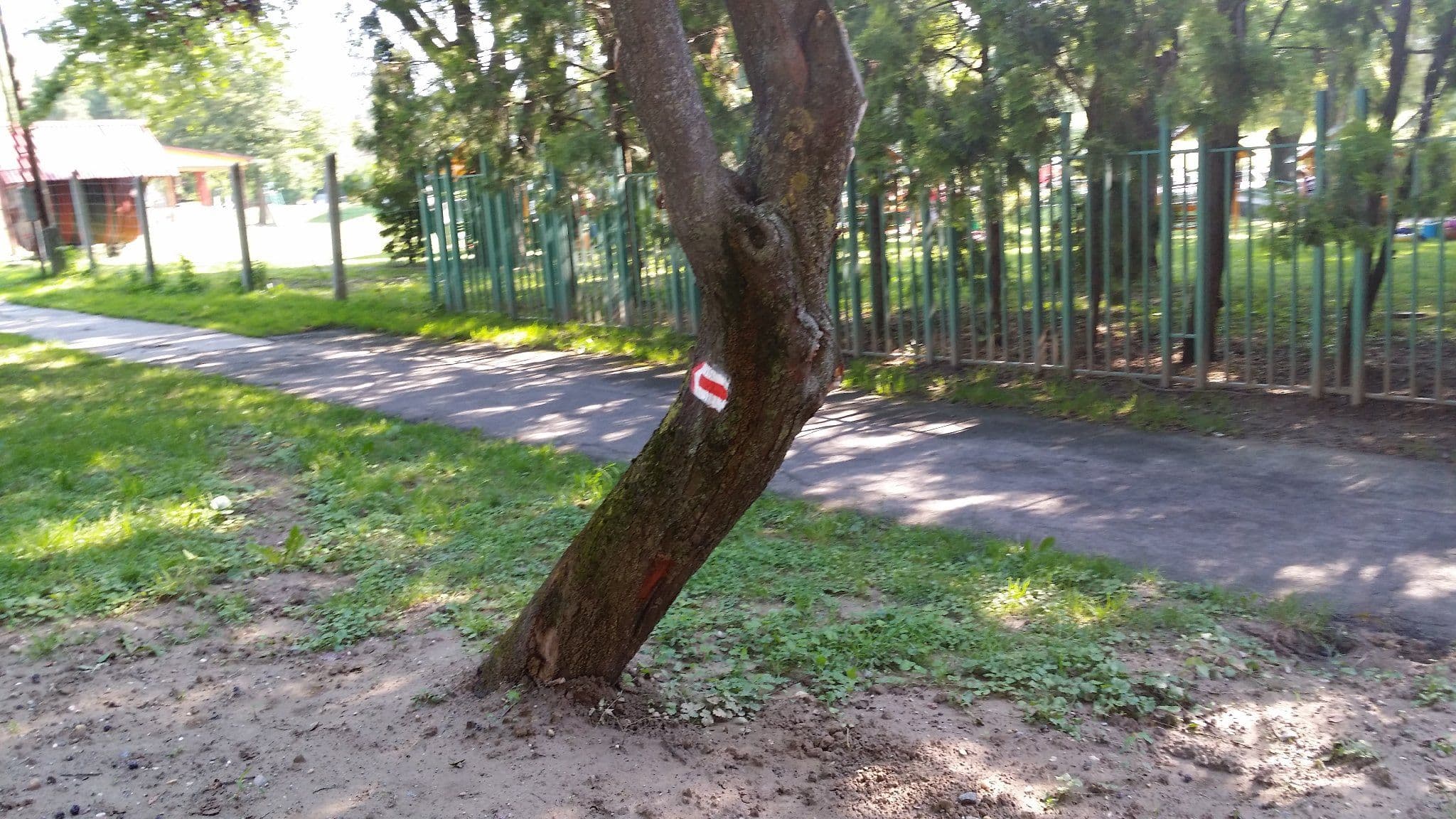 Street view near Hőforrás Kemping és Ifjúsági szálló, Andocs — © utvonalfelmeresek (CC BY-SA · Mapillary)