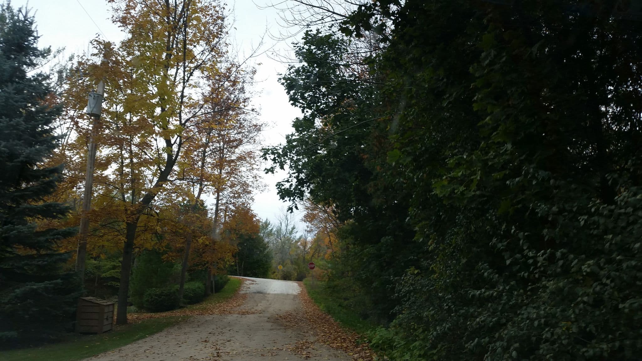 Street view near Rest a While Lodge, Kincardine — © elgaard (CC BY-SA · Mapillary)