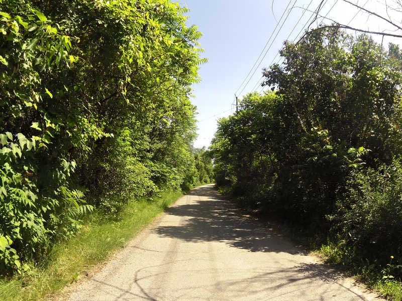 Street view near Armour Road Studio B&B, Peterborough — © hansonthebike (CC BY-SA · Mapillary)