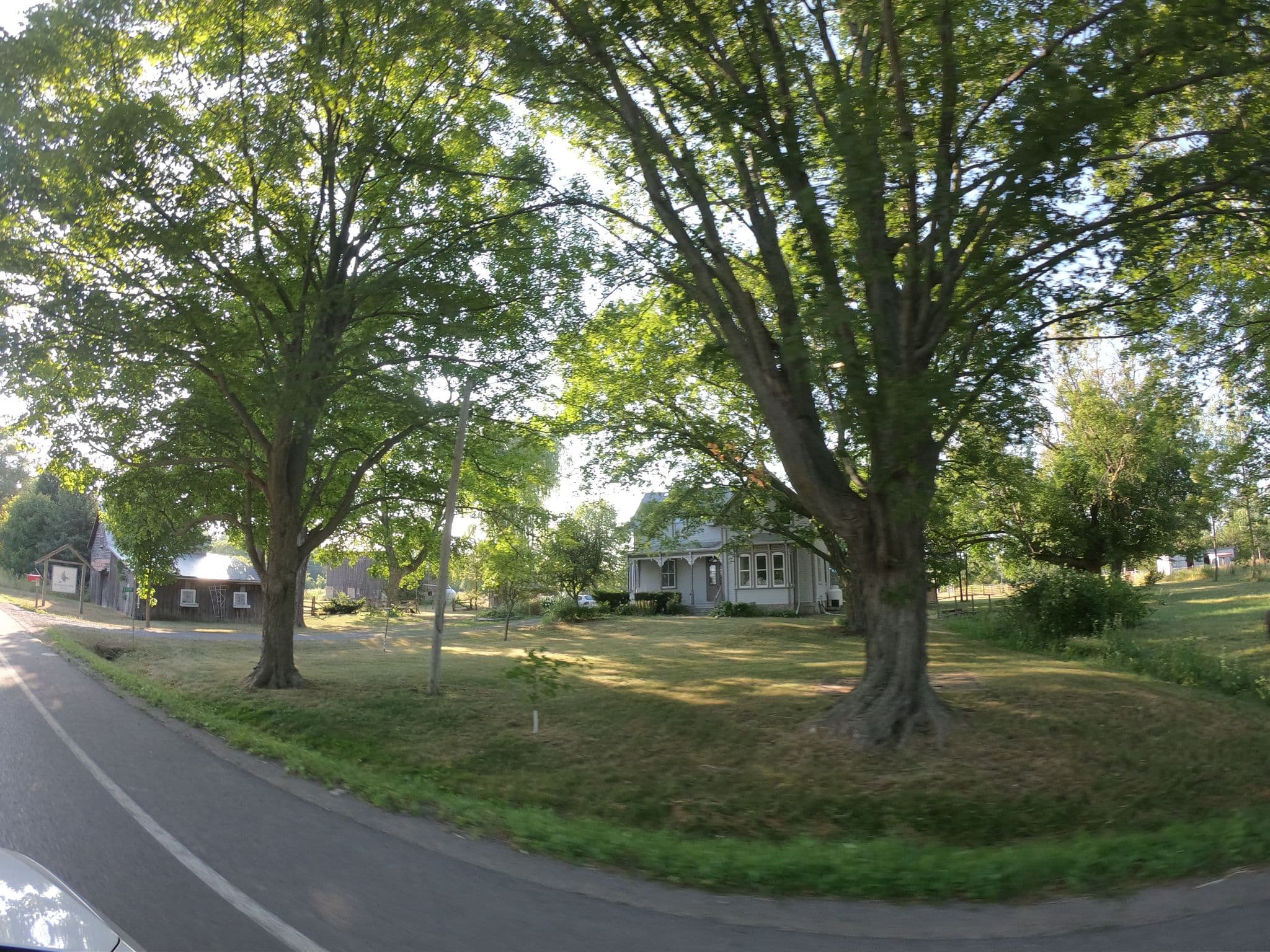 Street view near Windhover County, Picton — © zzptichka (CC BY-SA · Mapillary)