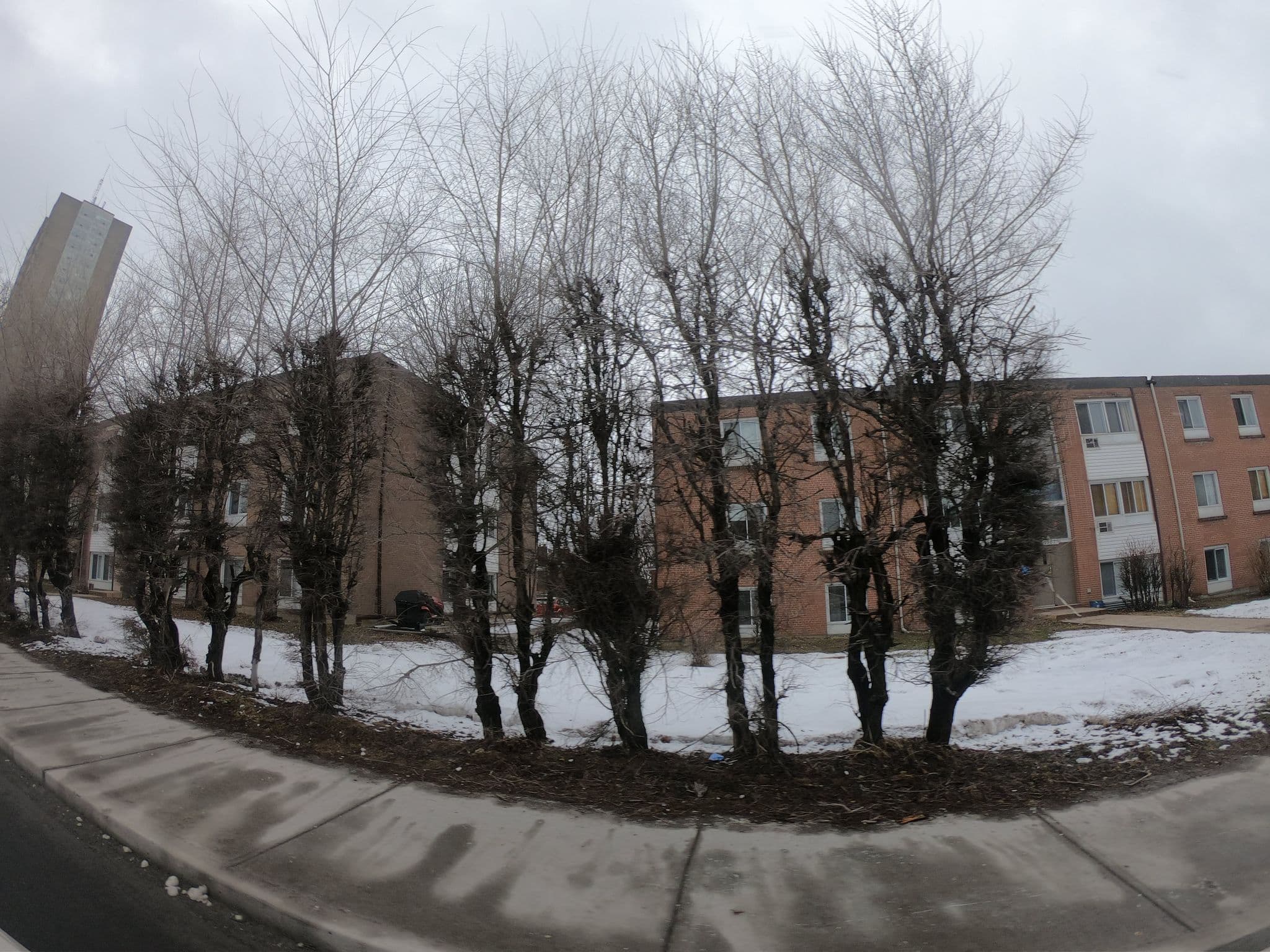 Street view near McKellar Park Suites, Hintonburg — © zzptichka (CC BY-SA · Mapillary)