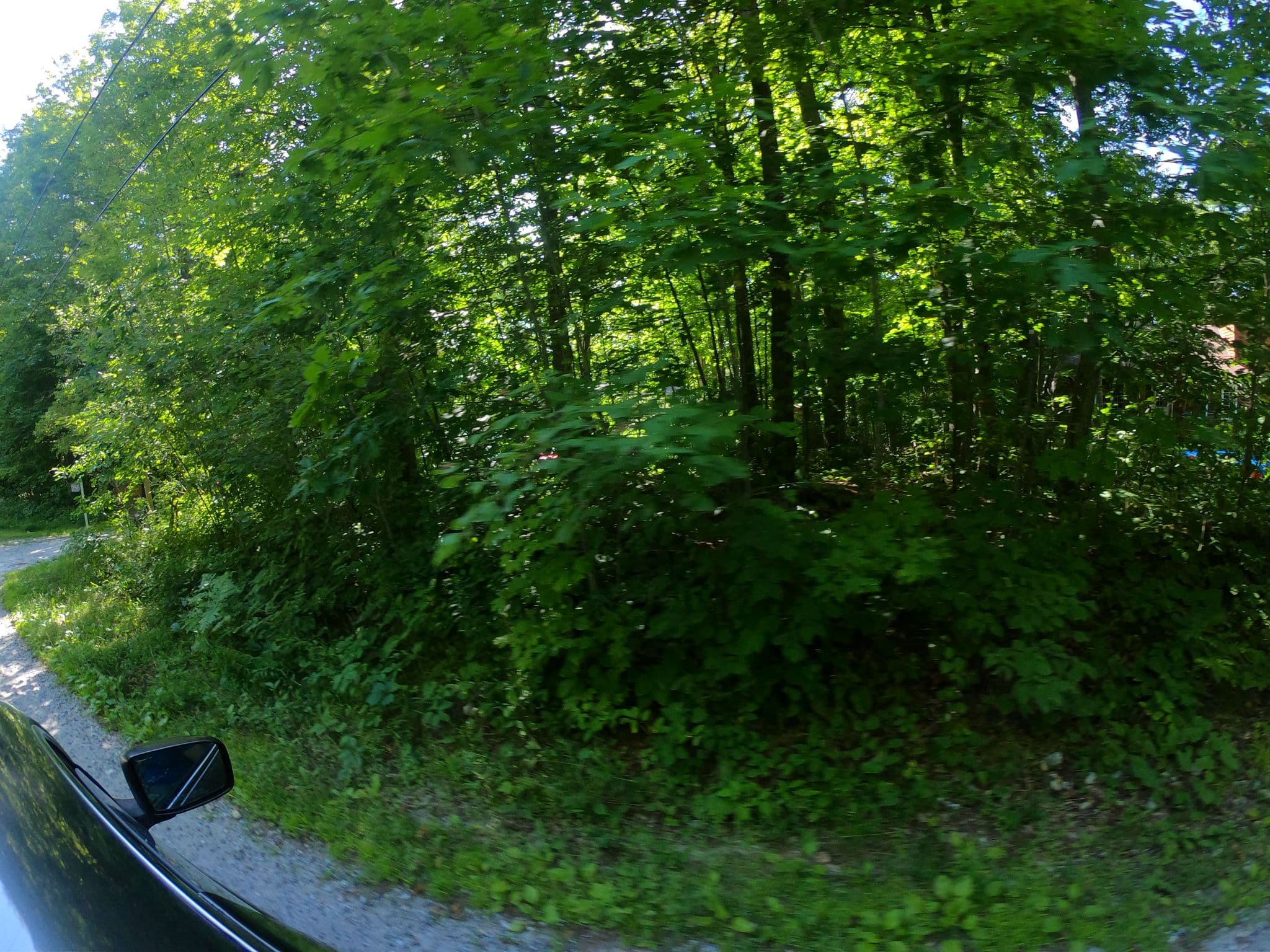 Street view near Kelly Cottage, Sharbot Lake — © zzptichka (CC BY-SA · Mapillary)