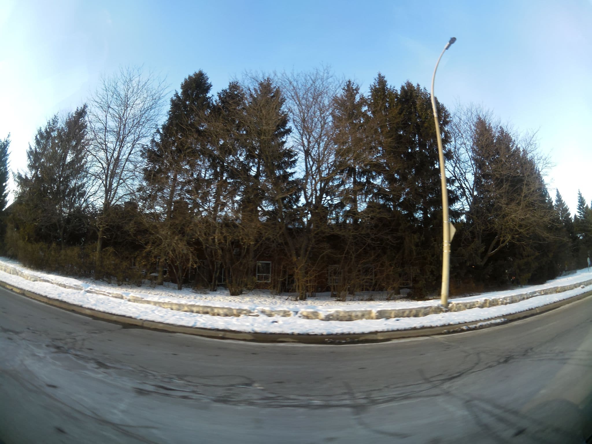 Street view near My Kingsize Bed, Orléans — © thelogicalviolinist (CC BY-SA · Mapillary)
