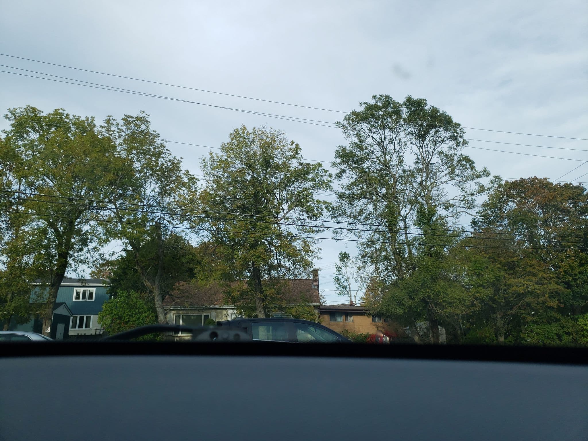 Street view near Mumford Bed & Breakfast, Halifax West End — © jarve1024 (CC BY-SA · Mapillary)