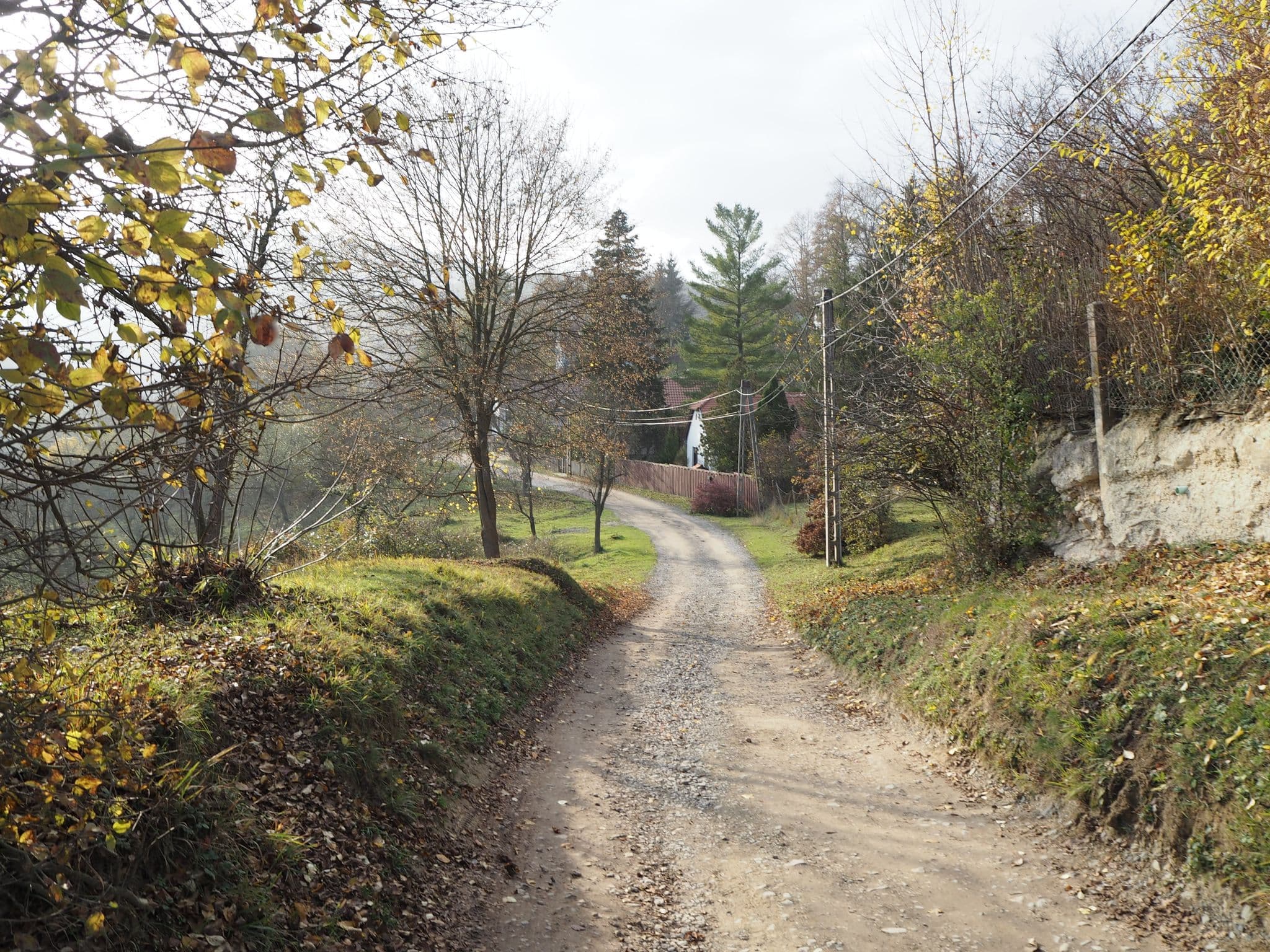 Street view near Mackólak vendégház, Hosszúhetény — © pongi57 (CC BY-SA · Mapillary)