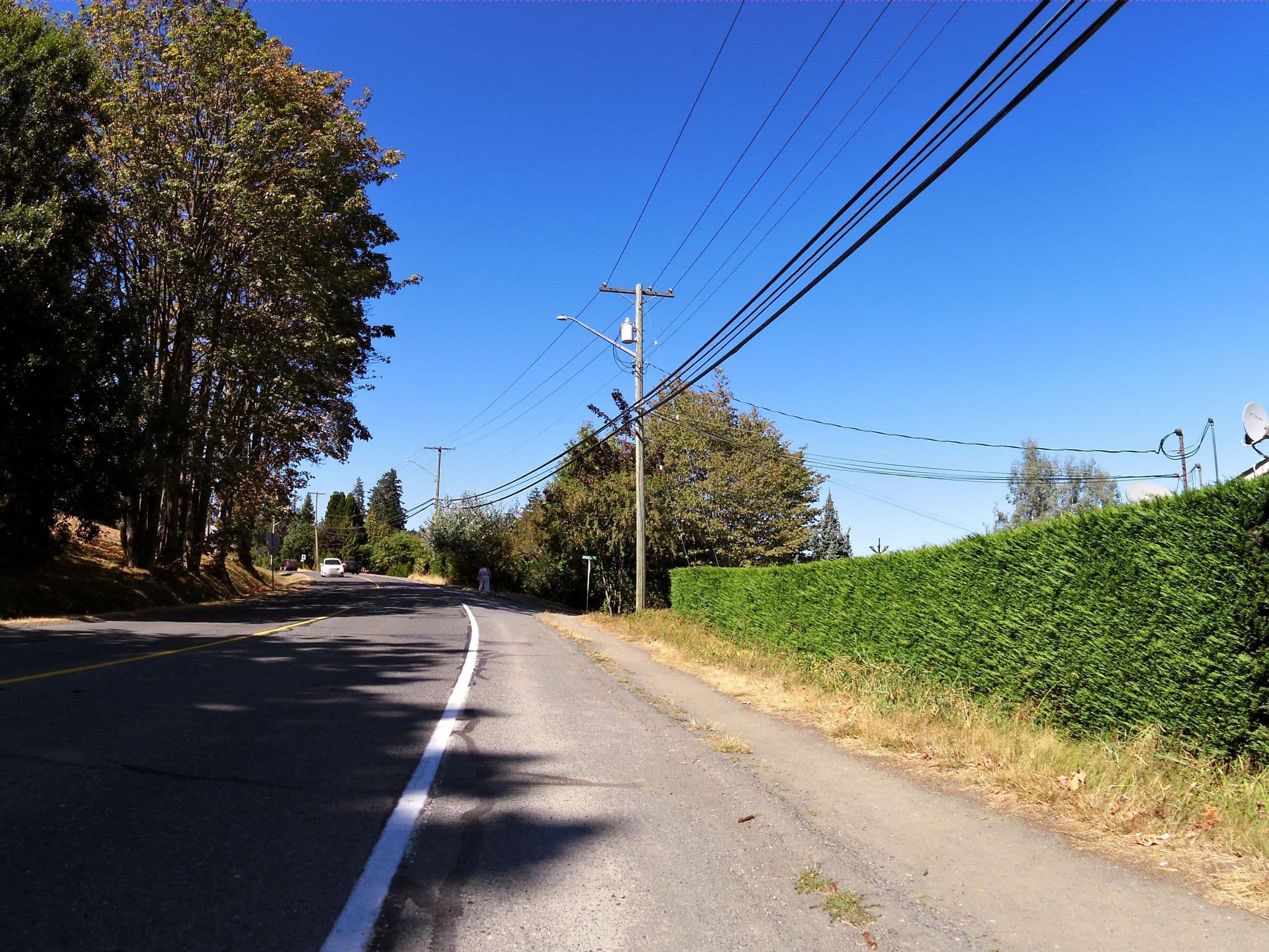 Street view near Raven's Haven, Chemainus — © andrewsnow (CC BY-SA · Mapillary)