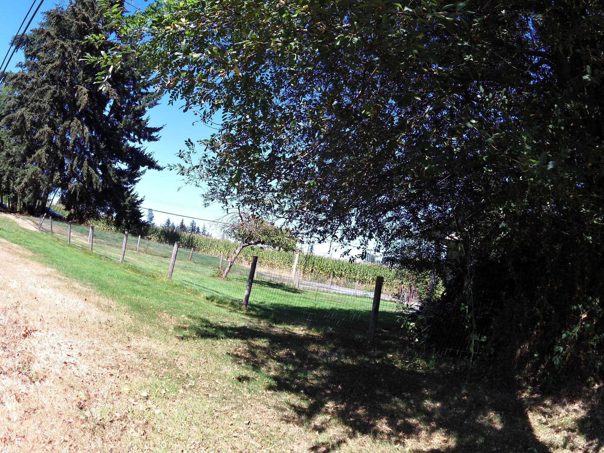 Street view near Jarids Corner B&B, Saltair — © andrewsnow (CC BY-SA · Mapillary)