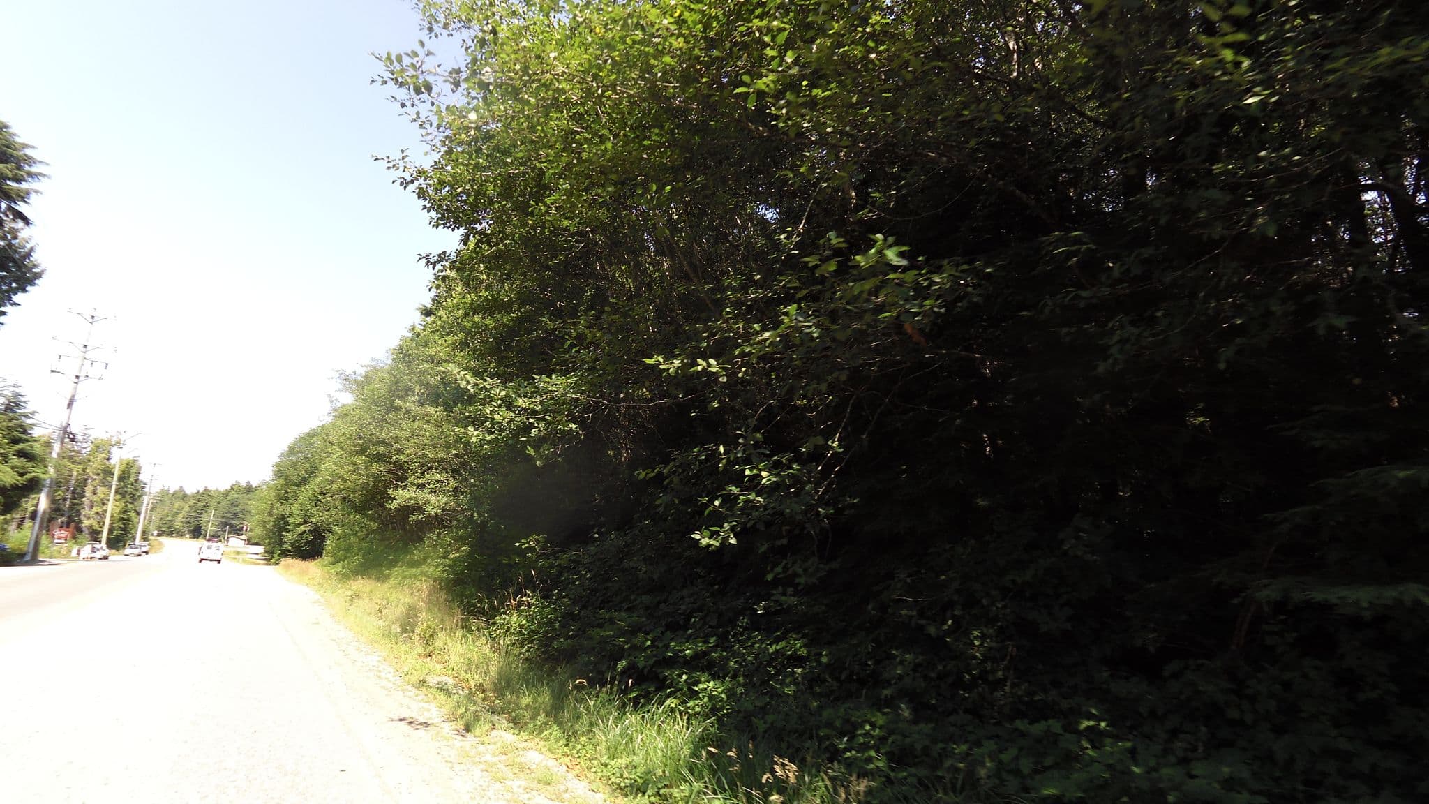 Street view near Bird & Breakfast, Tofino — © rps333 (CC BY-SA · Mapillary)