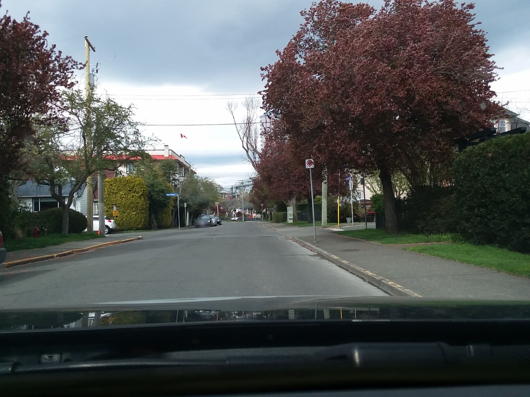 Street view near Marifield House Bed & Breakfast, James Bay — © shovie80 (CC BY-SA · Mapillary)