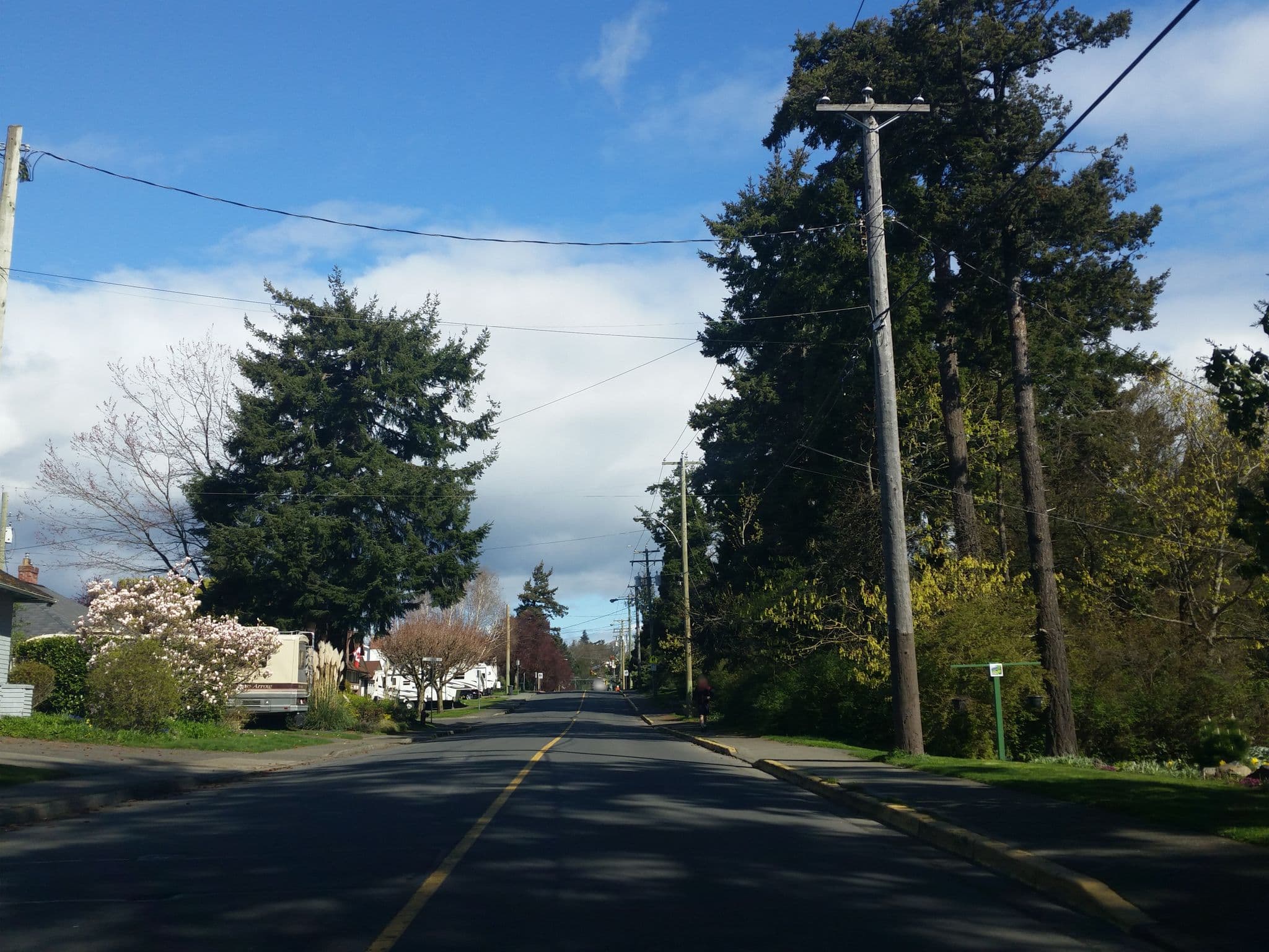 Street view near Cottage Pirouette B&B, Esquimalt — © rps333 (CC BY-SA · Mapillary)