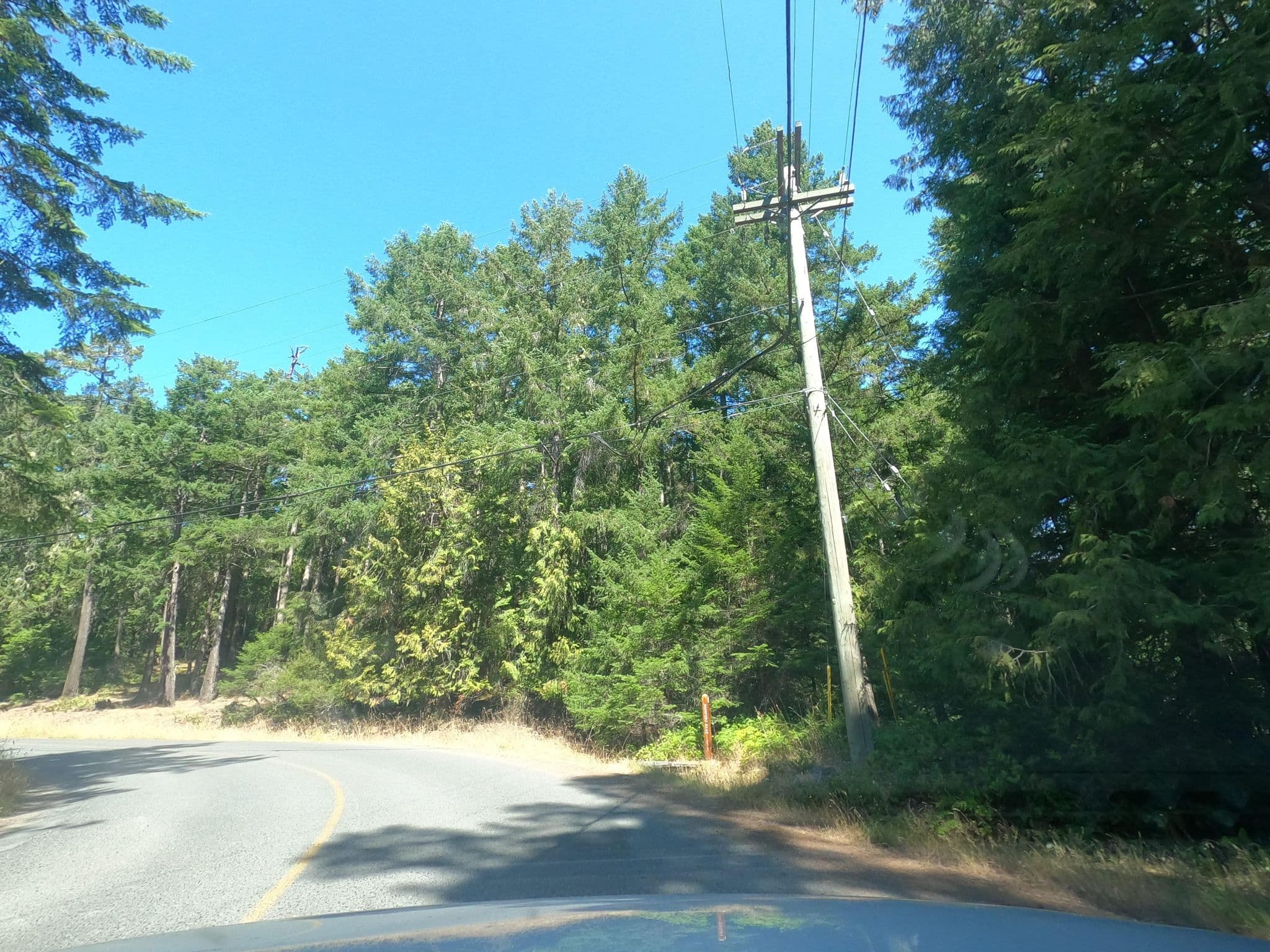 Street view near Cooper's Landing Inc, North Saanich — © plan_c (CC BY-SA · Mapillary)