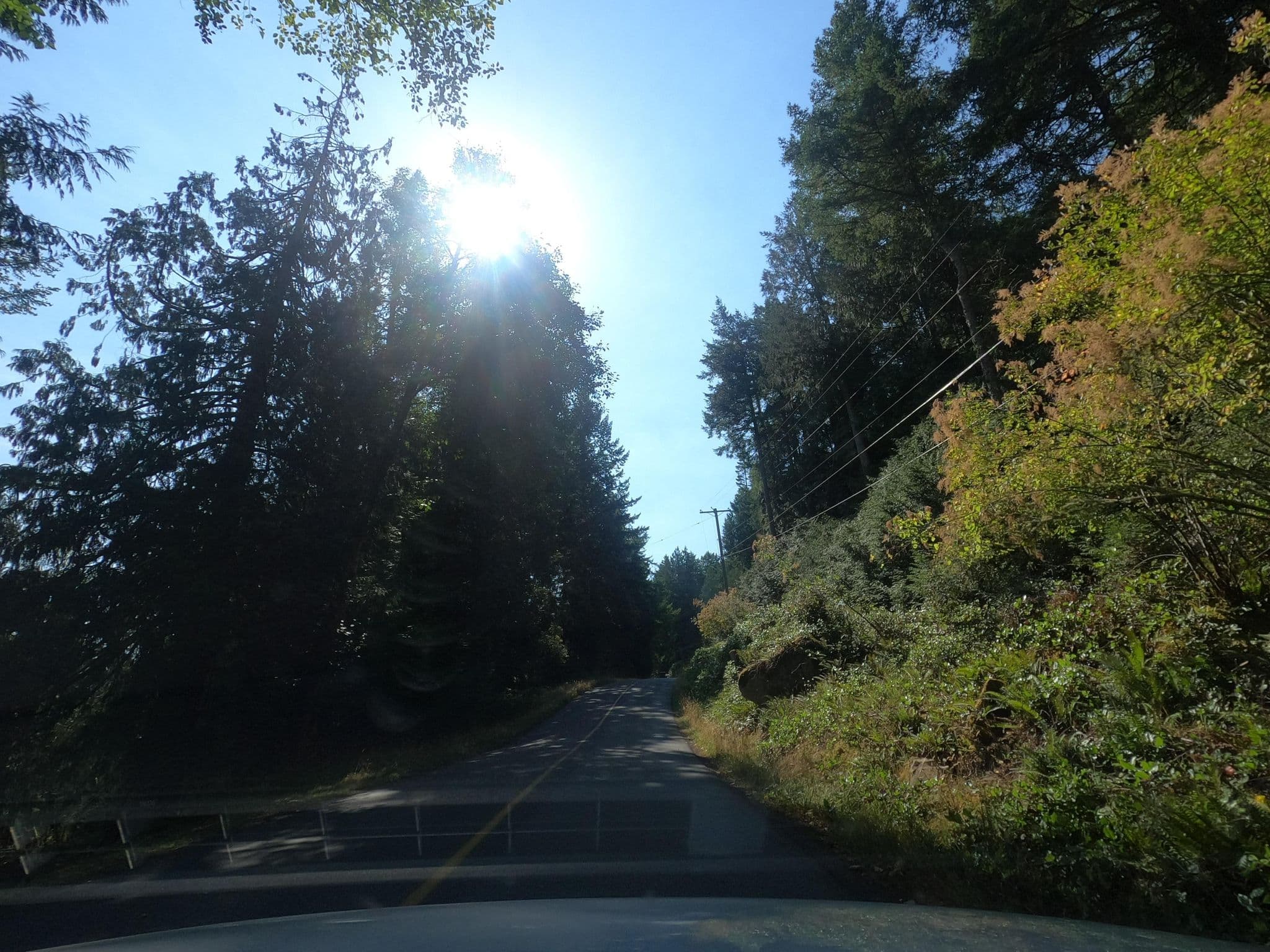 Street view near Salmonberry Inn, North Saanich — © plan_c (CC BY-SA · Mapillary)