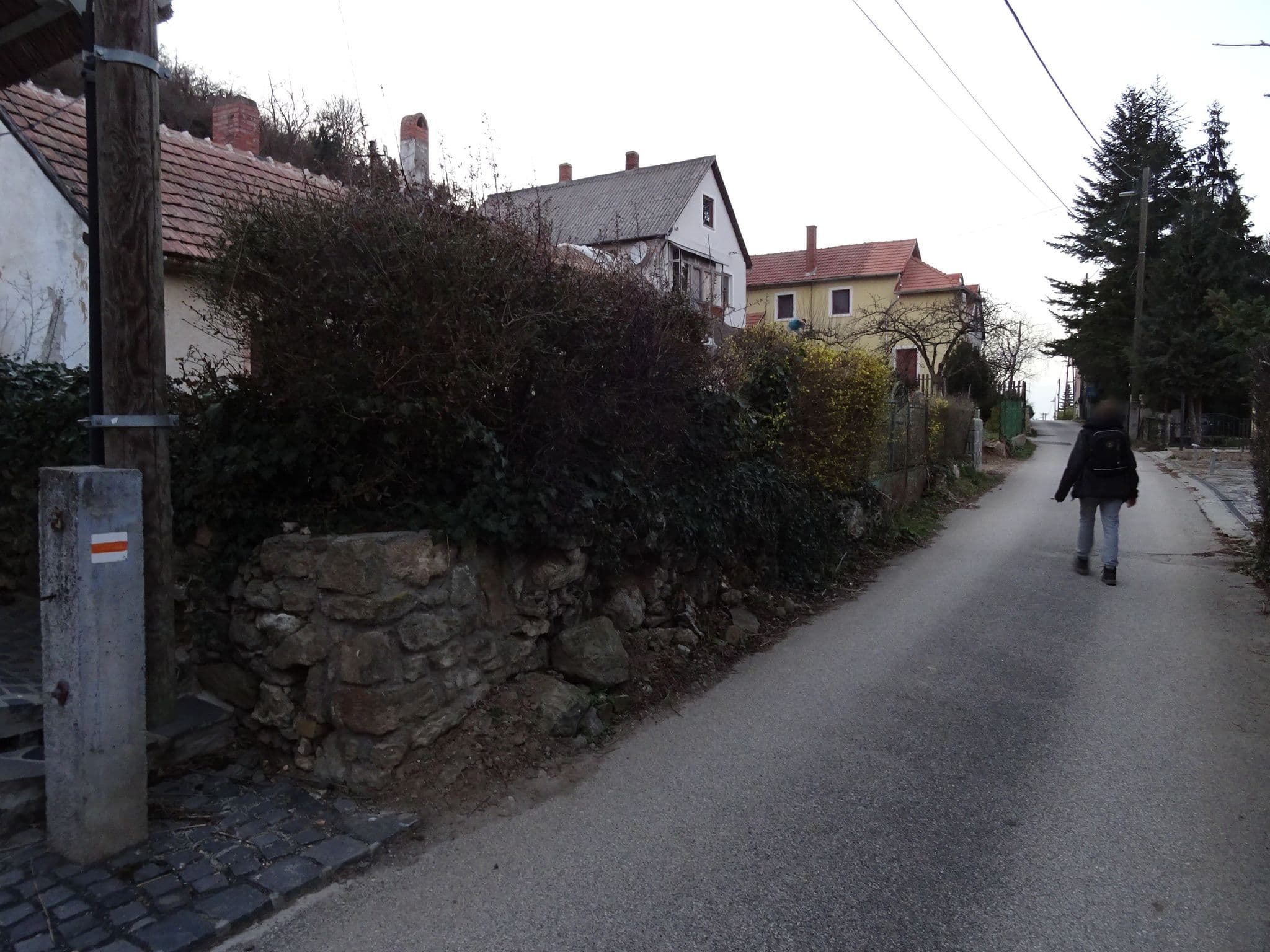 Street view near Jani Gyula, Badacsonytomaj — © izsolt (CC BY-SA · Mapillary)