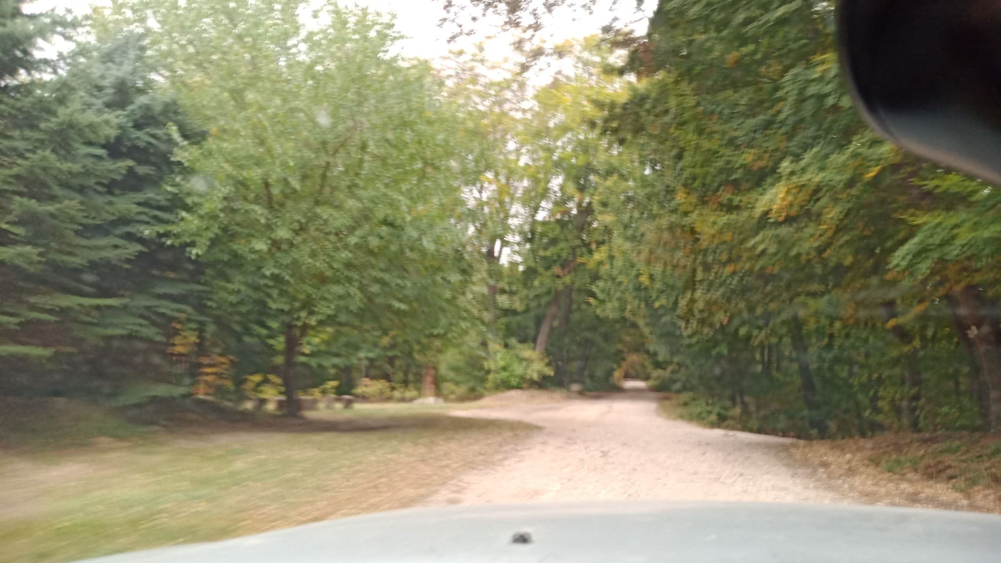 Street view near Vértes Tábor, Mór — © lercom (CC BY-SA · Mapillary)