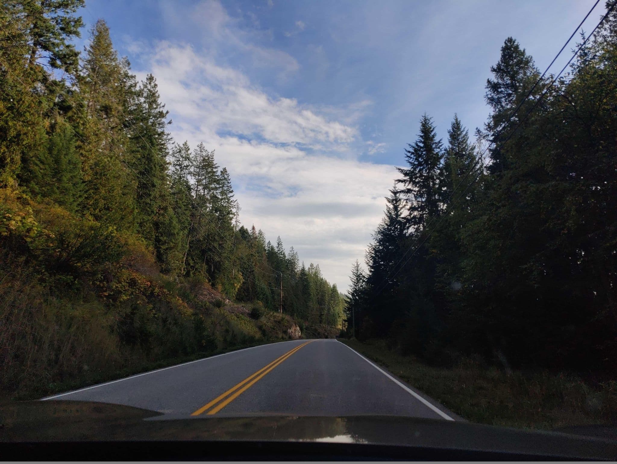 Street view near Cottage In The Woods, Nelson — © elphix (CC BY-SA · Mapillary)