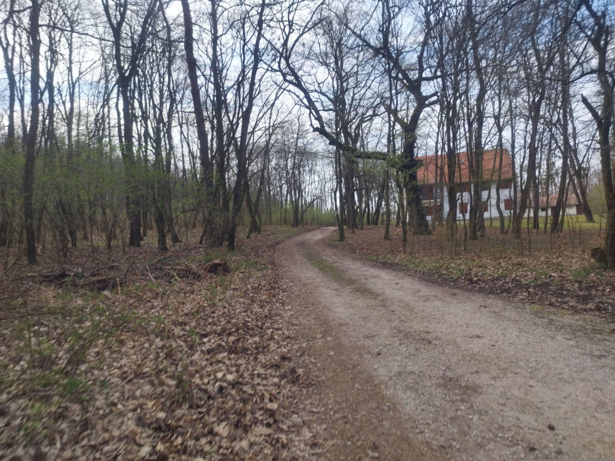 Street view near Bakonyi turistaház, Bakonyszentlászló — © grozsa11 (CC BY-SA · Mapillary)
