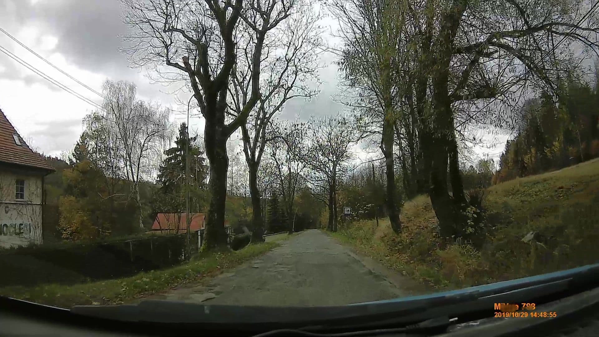 Street view near Schronisko PTSM w Batorowie, Szczytna — © geox123 (CC BY-SA · Mapillary)