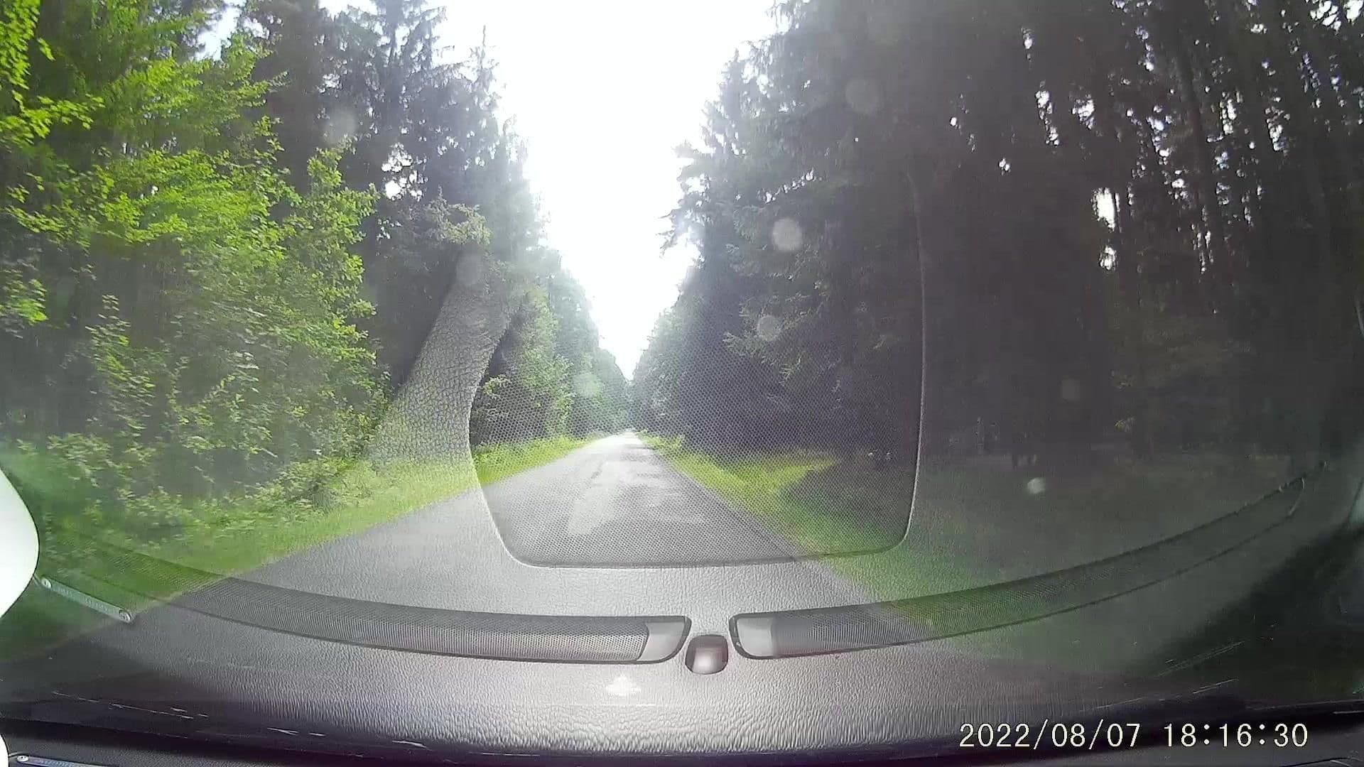 Street view near Park Hotel SPA. Buczynski, Świeradów-Zdrój — © dasza (CC BY-SA · Mapillary)