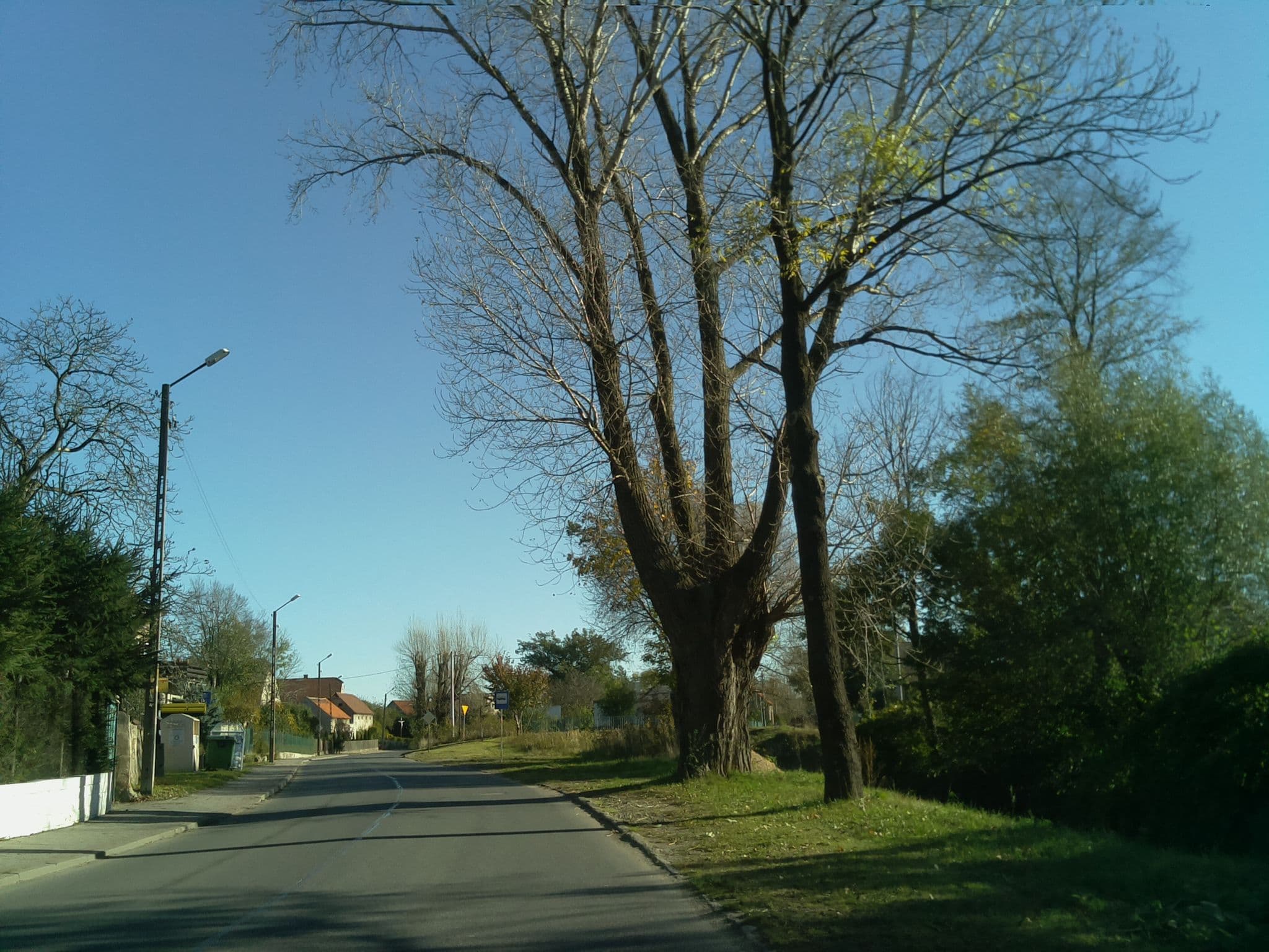 Street view near Noclegi Swiebodzice Woku, Świebodzice — © domiss (CC BY-SA · Mapillary)