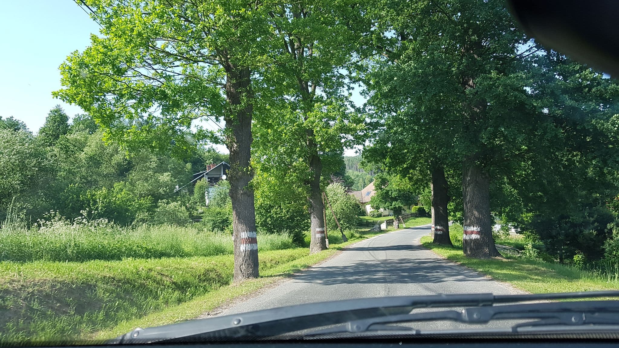 Street view near Domki Wilcza, Bozkow — © lukasz (CC BY-SA · Mapillary)