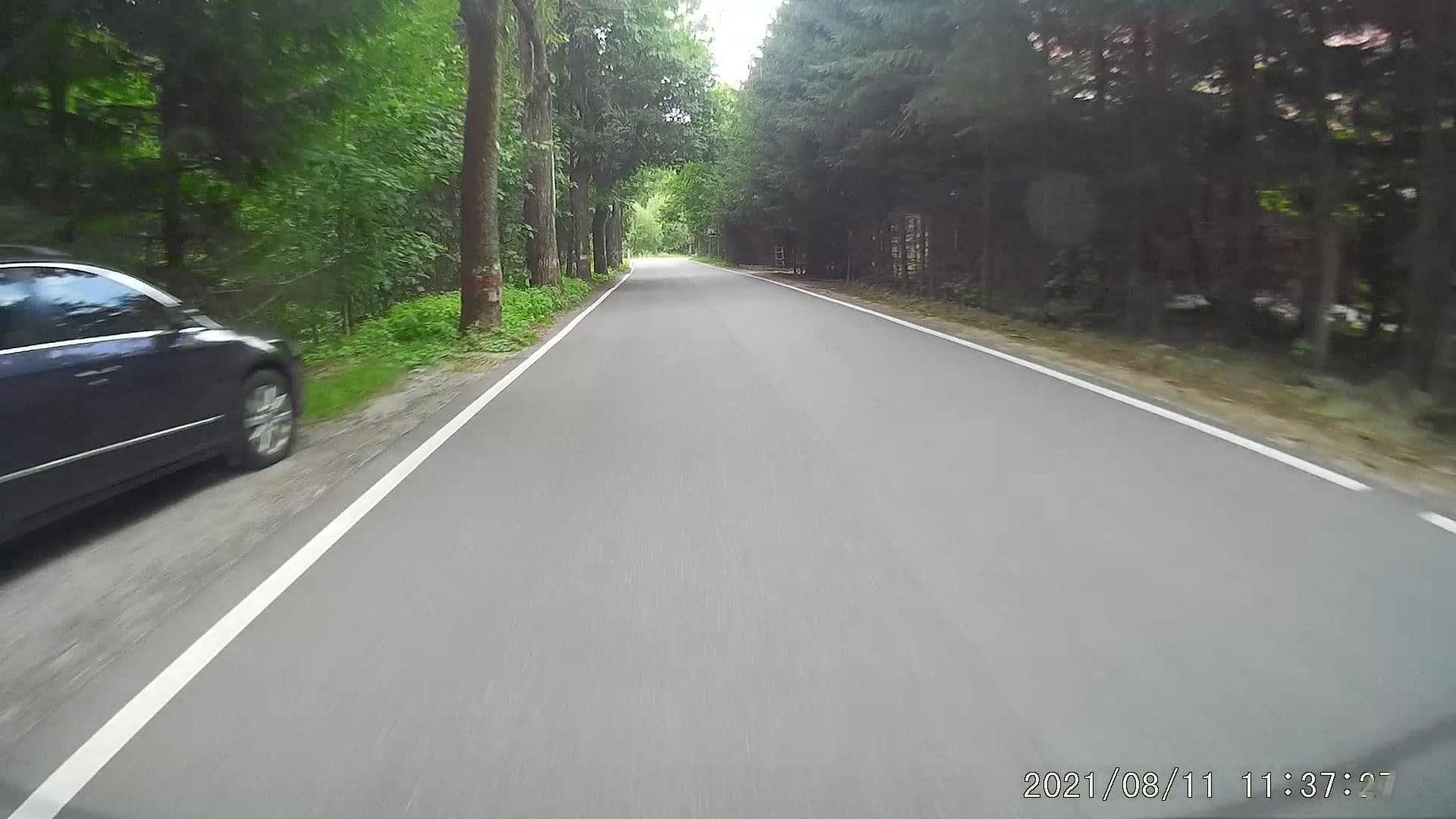 Street view near Małgorzata Górska Hotel Górski Czarna Góra, Stronie Śląskie — © dasza (CC BY-SA · Mapillary)