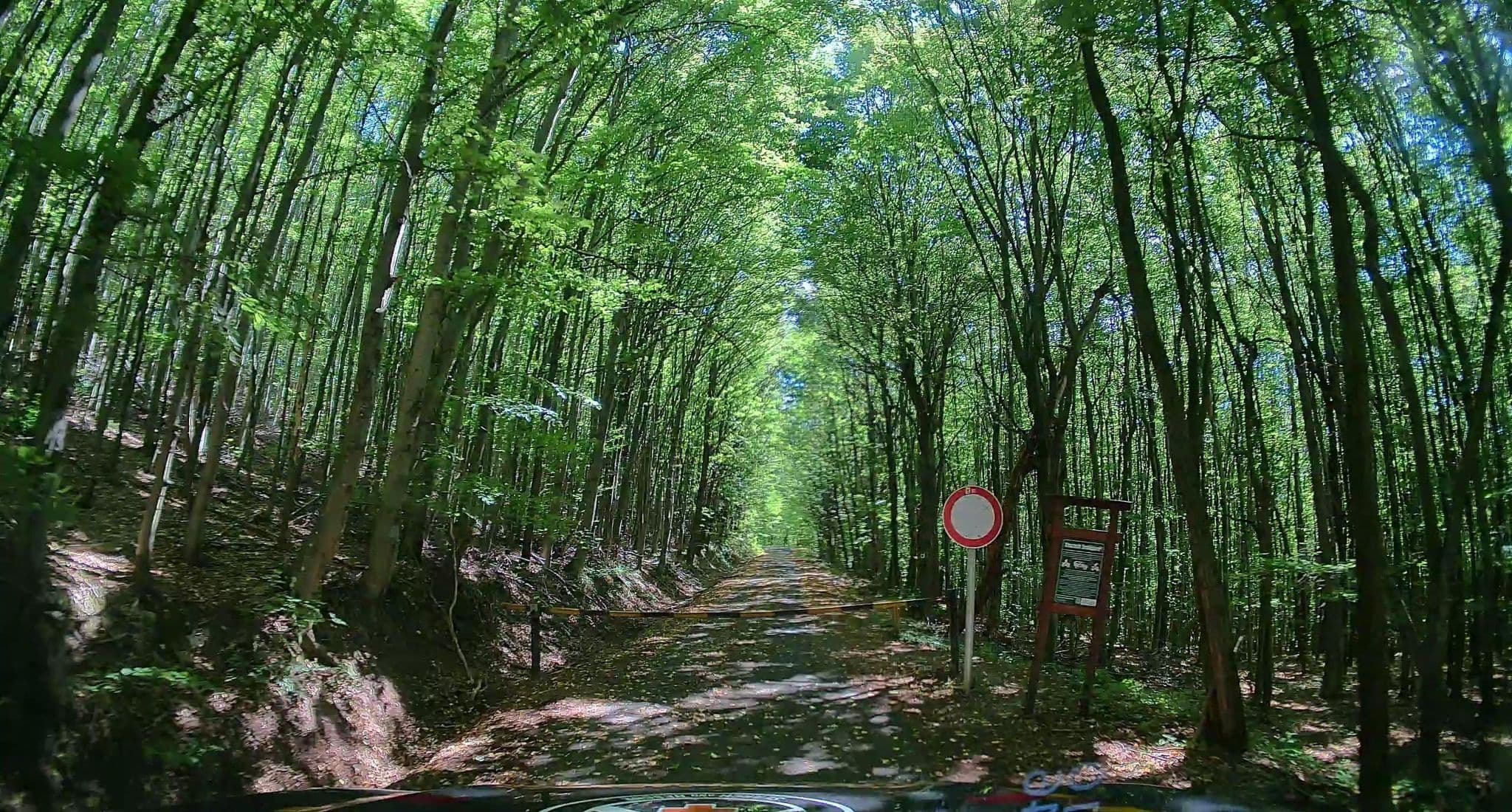 Street view near Szénpataki kulcsosház, Diósjenő — © BorzsonyMountainRescue (CC BY-SA · Mapillary)