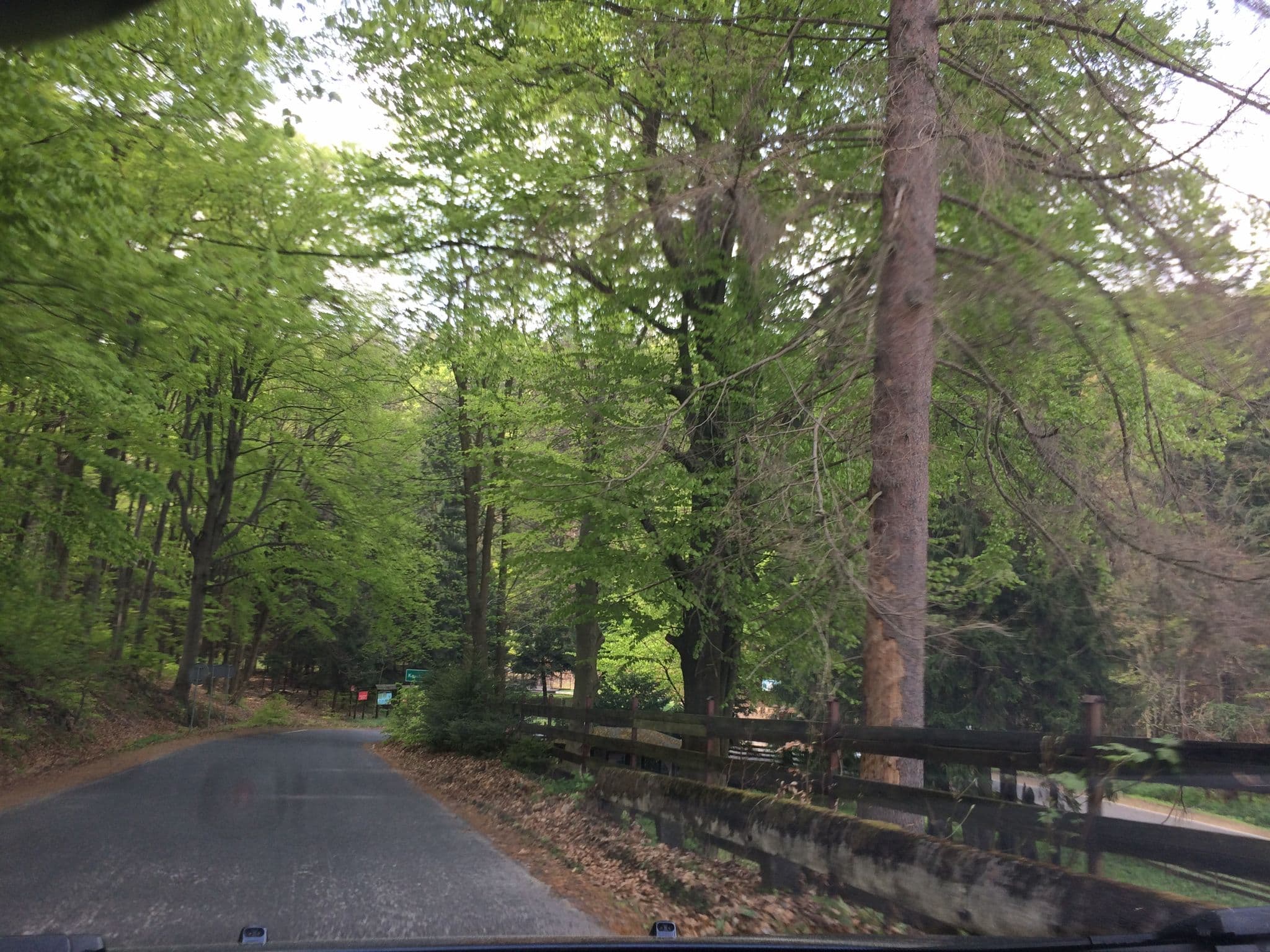 Street view near Świerkowe Zacisze, Jugów — © leszek89 (CC BY-SA · Mapillary)