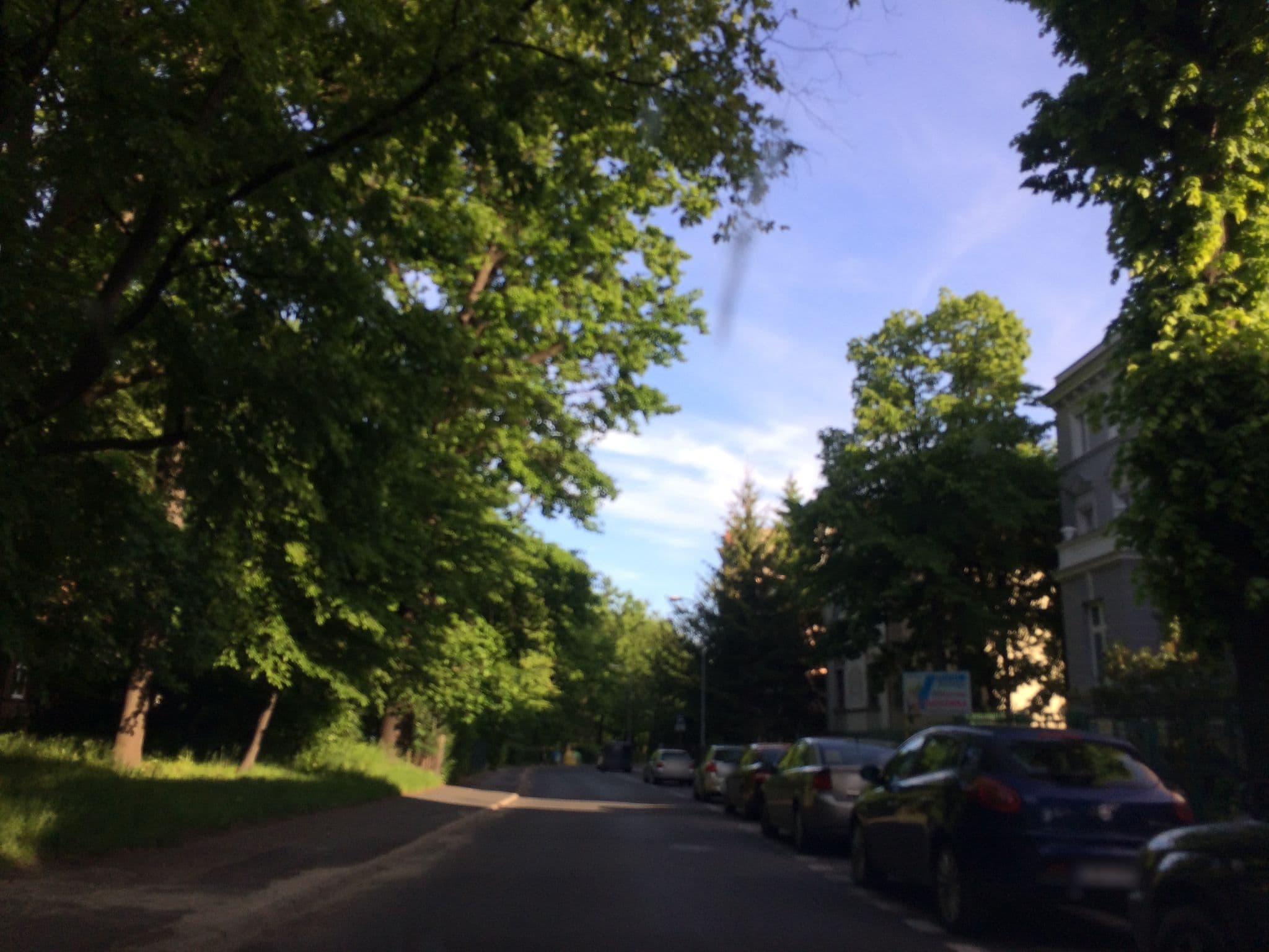 Street view near Internat I Liceum Ogólnokształcącego im. J. Kasprowicza, Świdnica — © leszek89 (CC BY-SA · Mapillary)