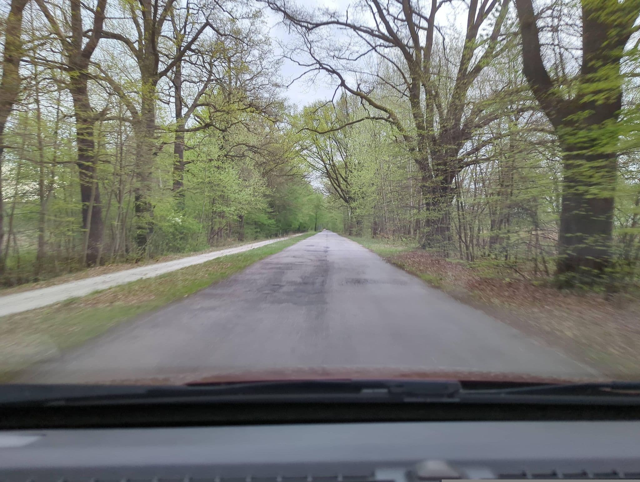 Street view near Ptasi Raj, Milicz — © ashokaking (CC BY-SA · Mapillary)