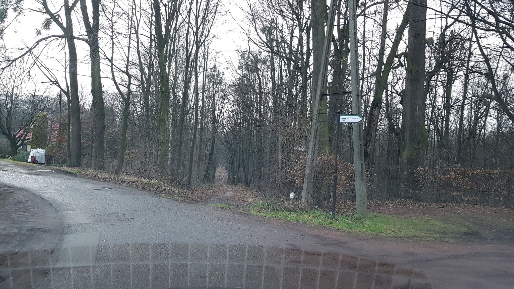 Street view near The Princely Pheasantry, Radostowice — © jerome_pietri (CC BY-SA · Mapillary)