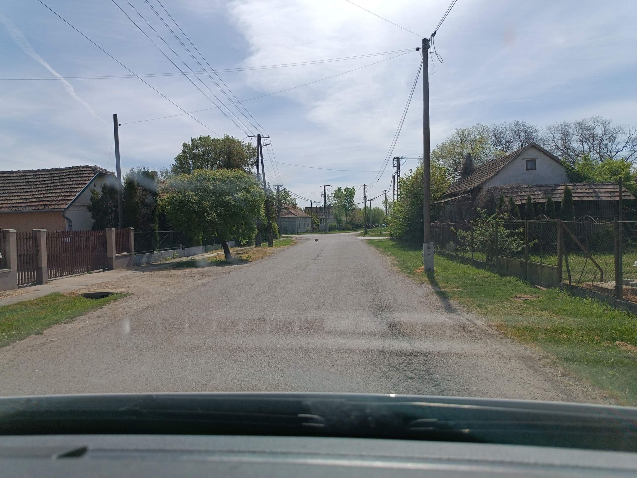 Street view near Tisza-Tavirózsa Vendégház, Tiszaszőlős — © JNSZ (CC BY-SA · Mapillary)