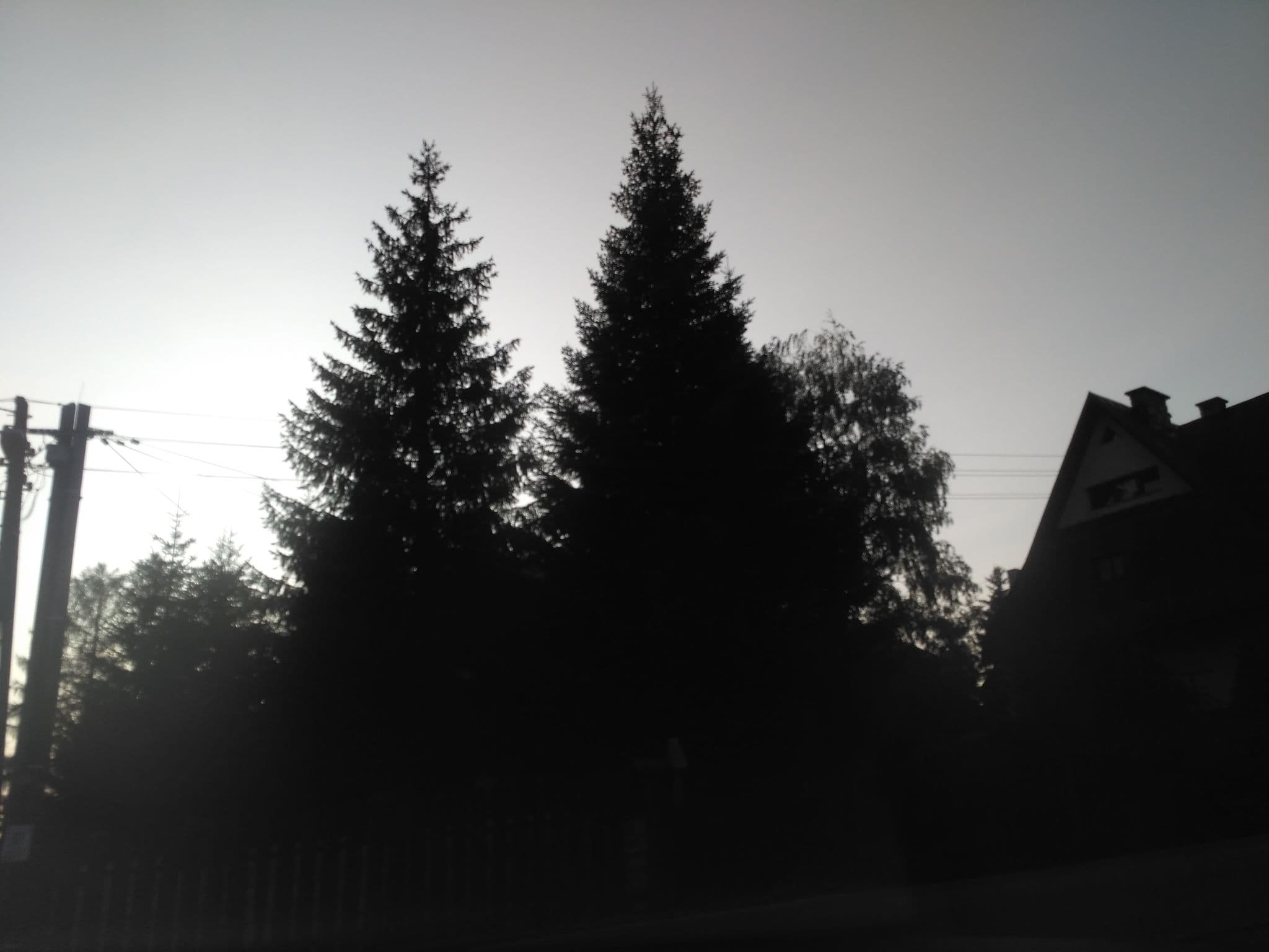 Street view near arkada, Kościelisko — © rafalr_osm (CC BY-SA · Mapillary)