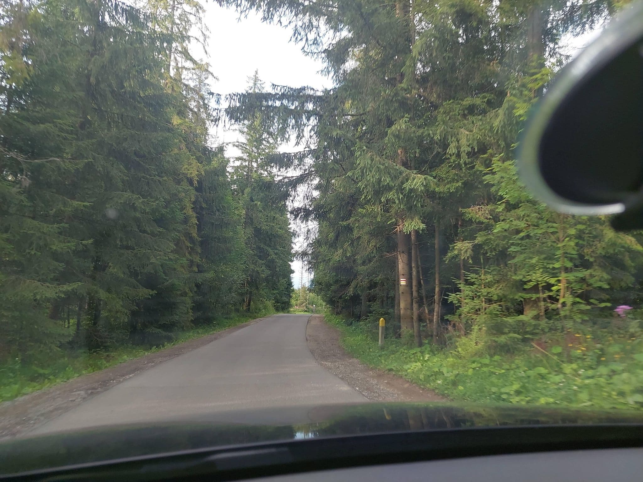 Street view near Wynajem Pokoi "Willa Gubałówka", Zakopane — © Apirnus (CC BY-SA · Mapillary)