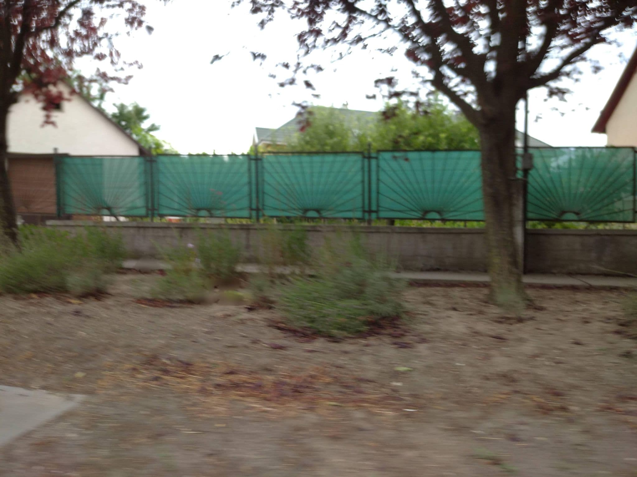 Street view near Tutti panzió, Pomáz — © grozsa11 (CC BY-SA · Mapillary)
