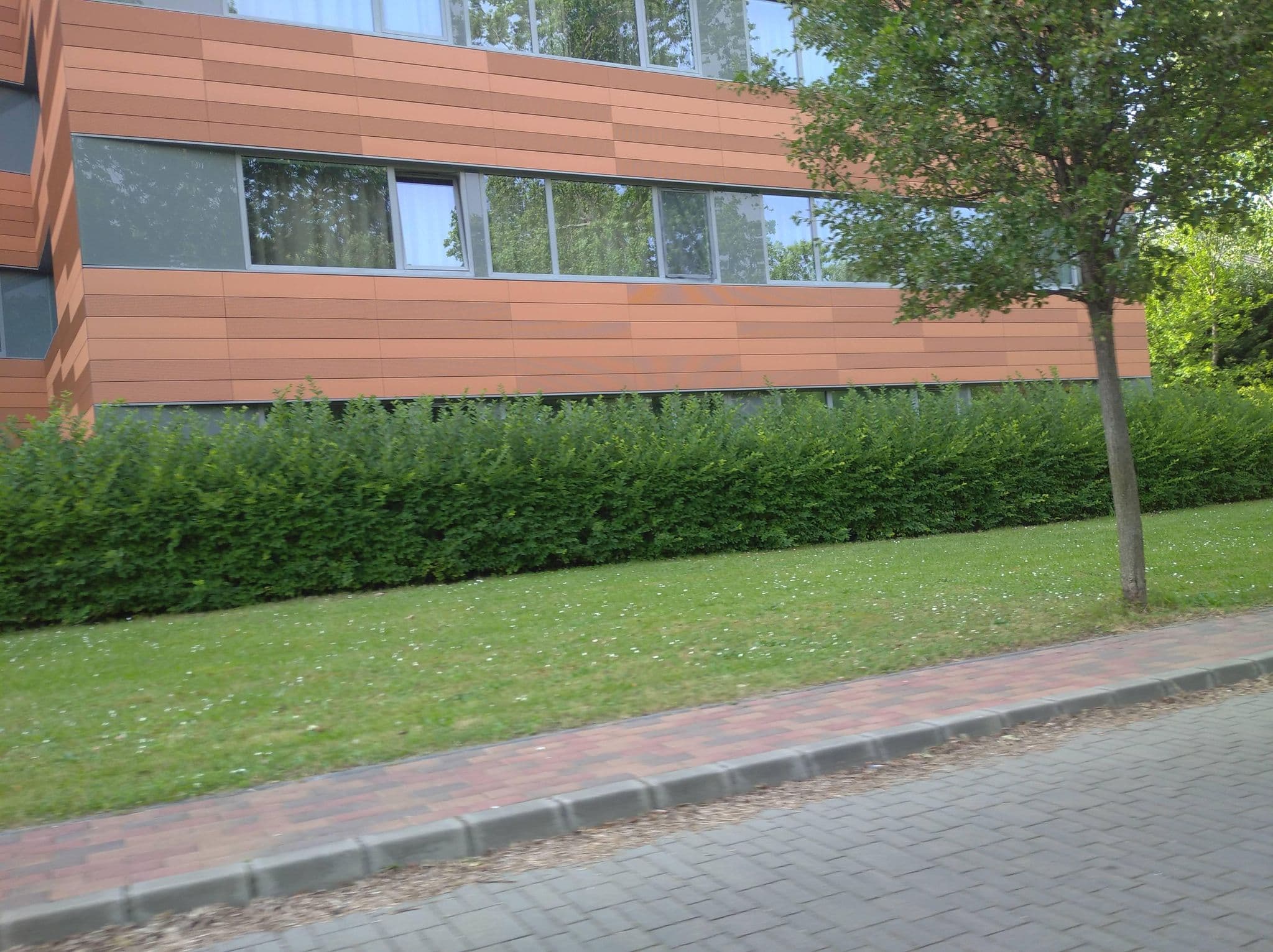 Street view near Diákszálló, Óbuda — © grozsa11 (CC BY-SA · Mapillary)