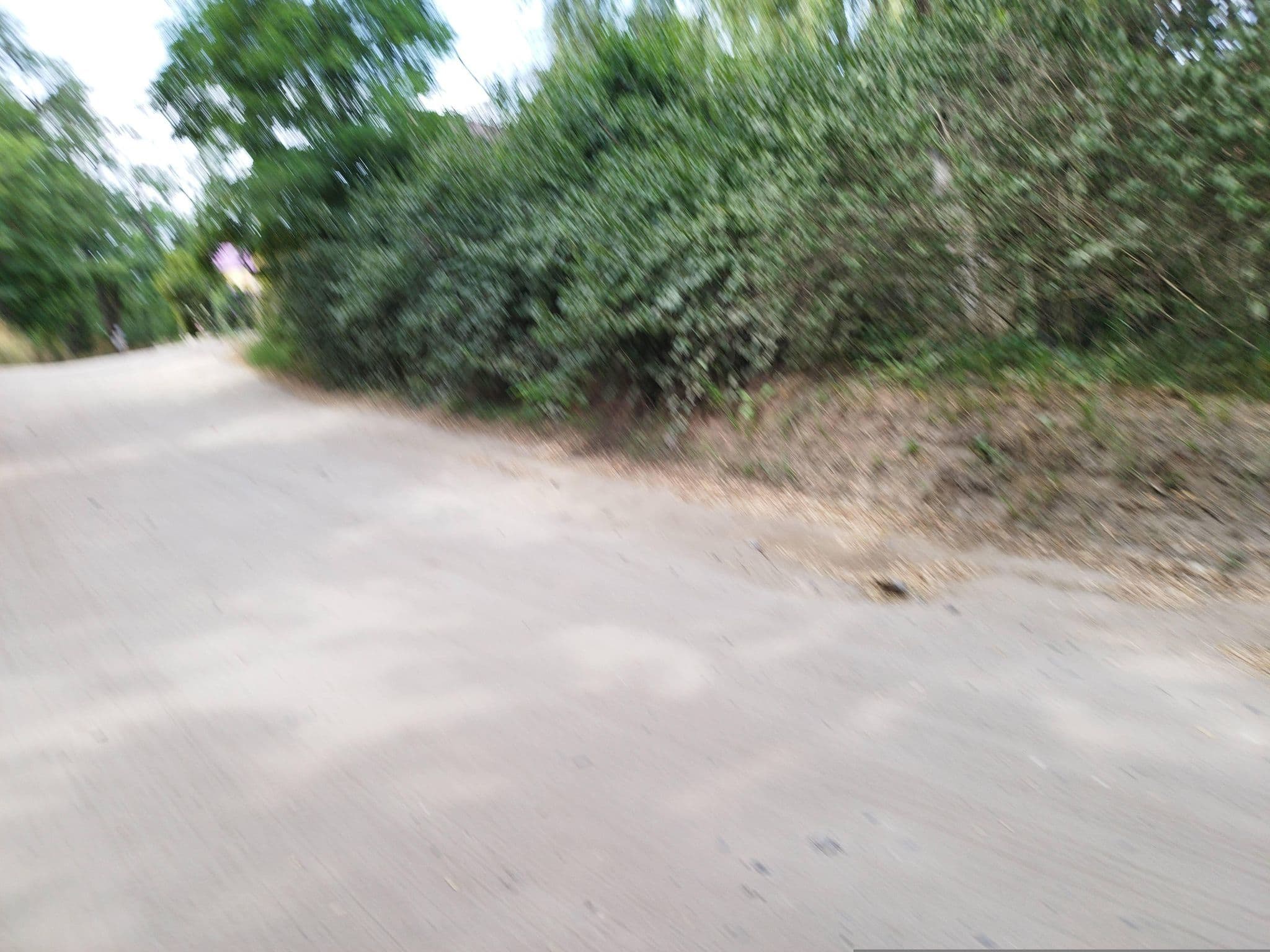 Street view near Fáradt vándor vendégház, Domony — © grozsa11 (CC BY-SA · Mapillary)