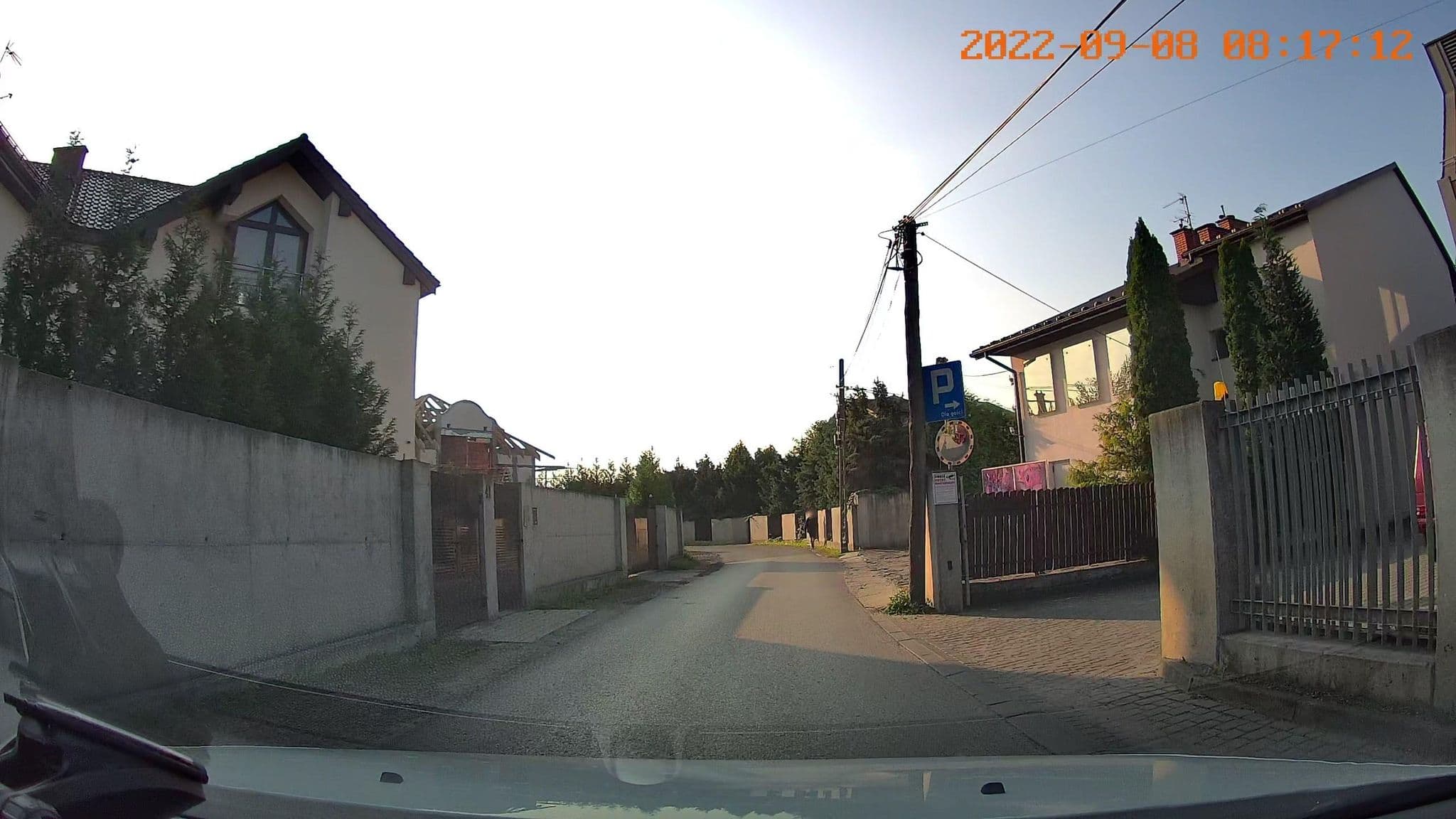 Street view near Aroma-Spa Leszek Pilorz, Malwina Dziedzic s.j., Rząska — © jswk (CC BY-SA · Mapillary)