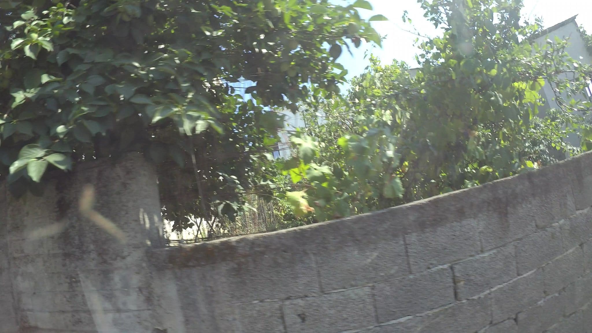 Street view near Privilege Hotel & Spa, Petrelë — © kaart5 (CC BY-SA · Mapillary)