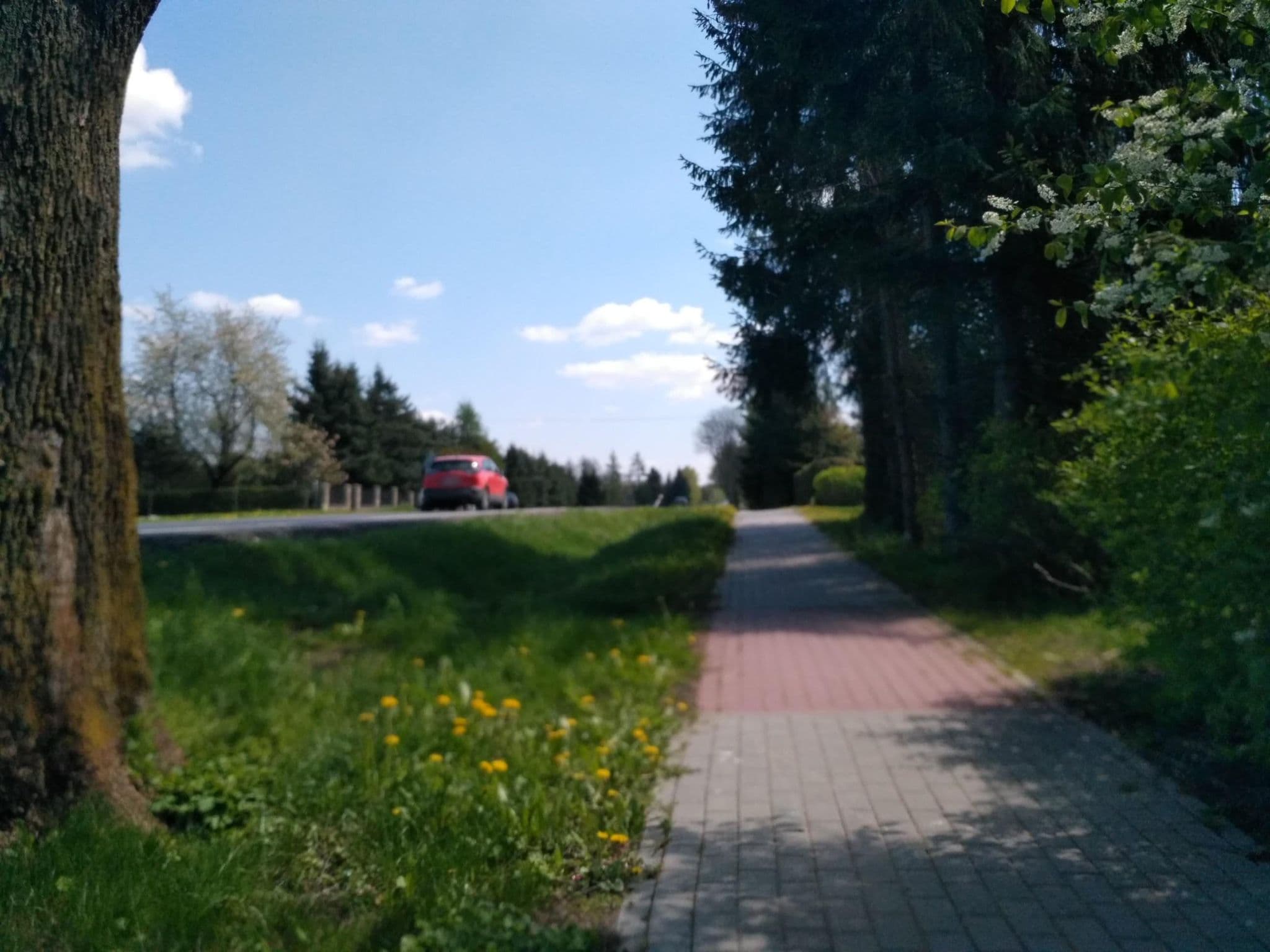 Street view near Imperium Sp. z o.o., Jedlicze — © czecko (CC BY-SA · Mapillary)