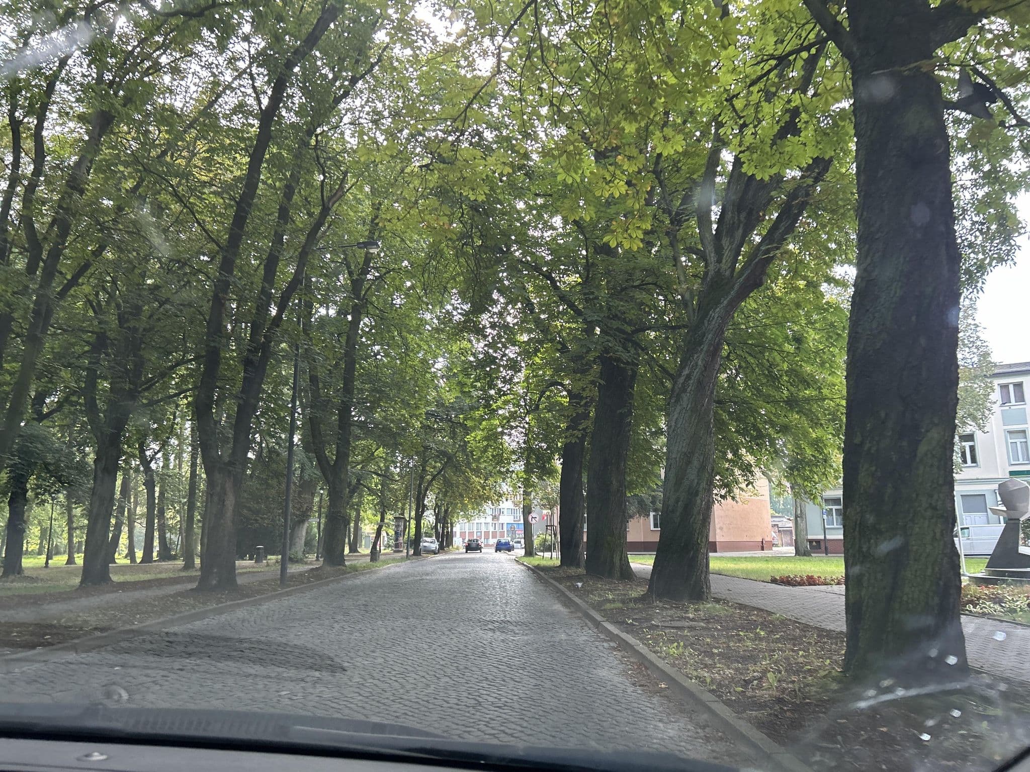 Street view near Royal Park Sp. z o.o., Świnoujście — © strudel (CC BY-SA · Mapillary)