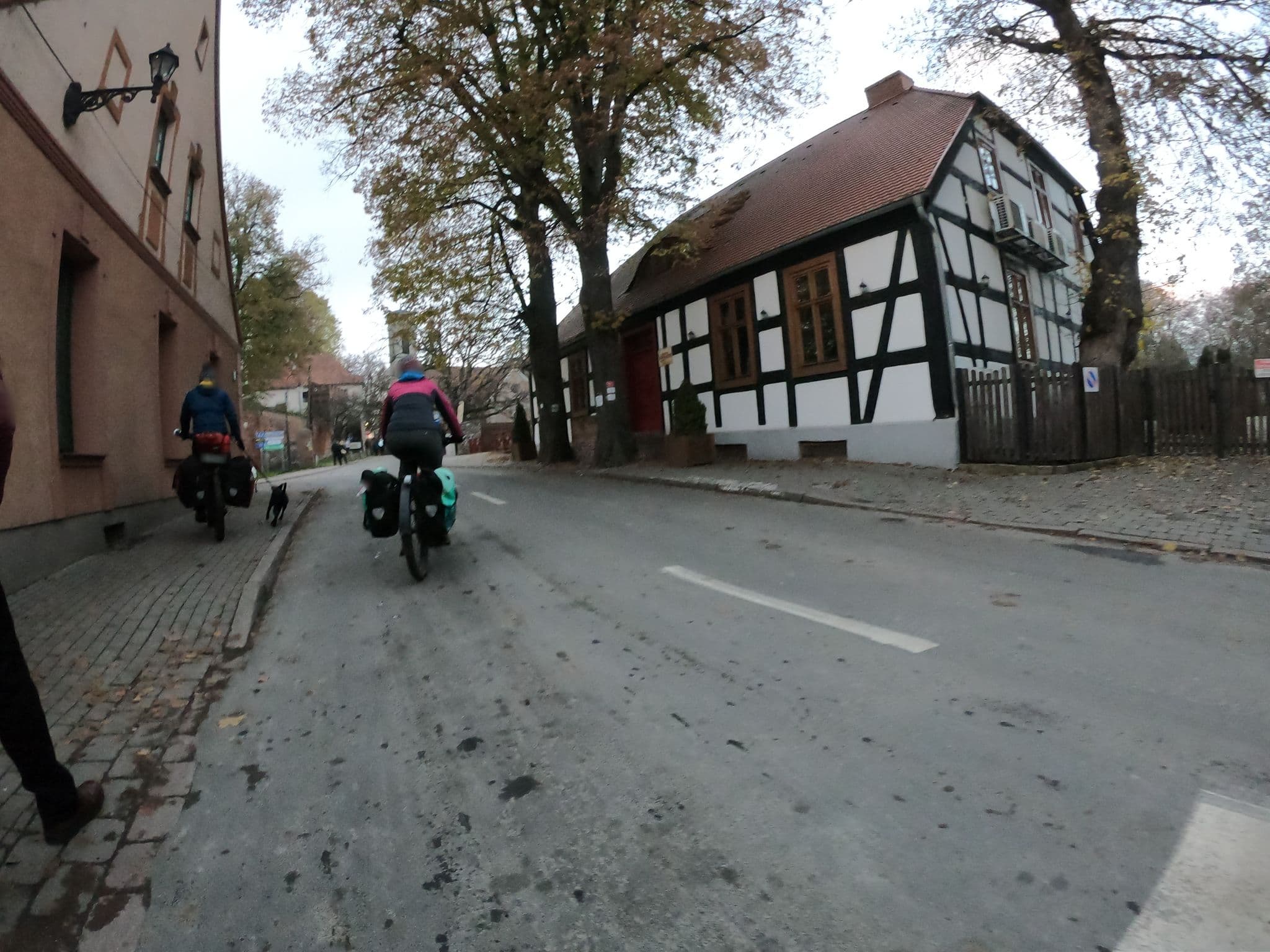 Street view near Polski Związek Wędkarski. Okręg. Centrum turystyki wędkarskiej, Łagów — © masterofnoroad (CC BY-SA · Mapillary)
