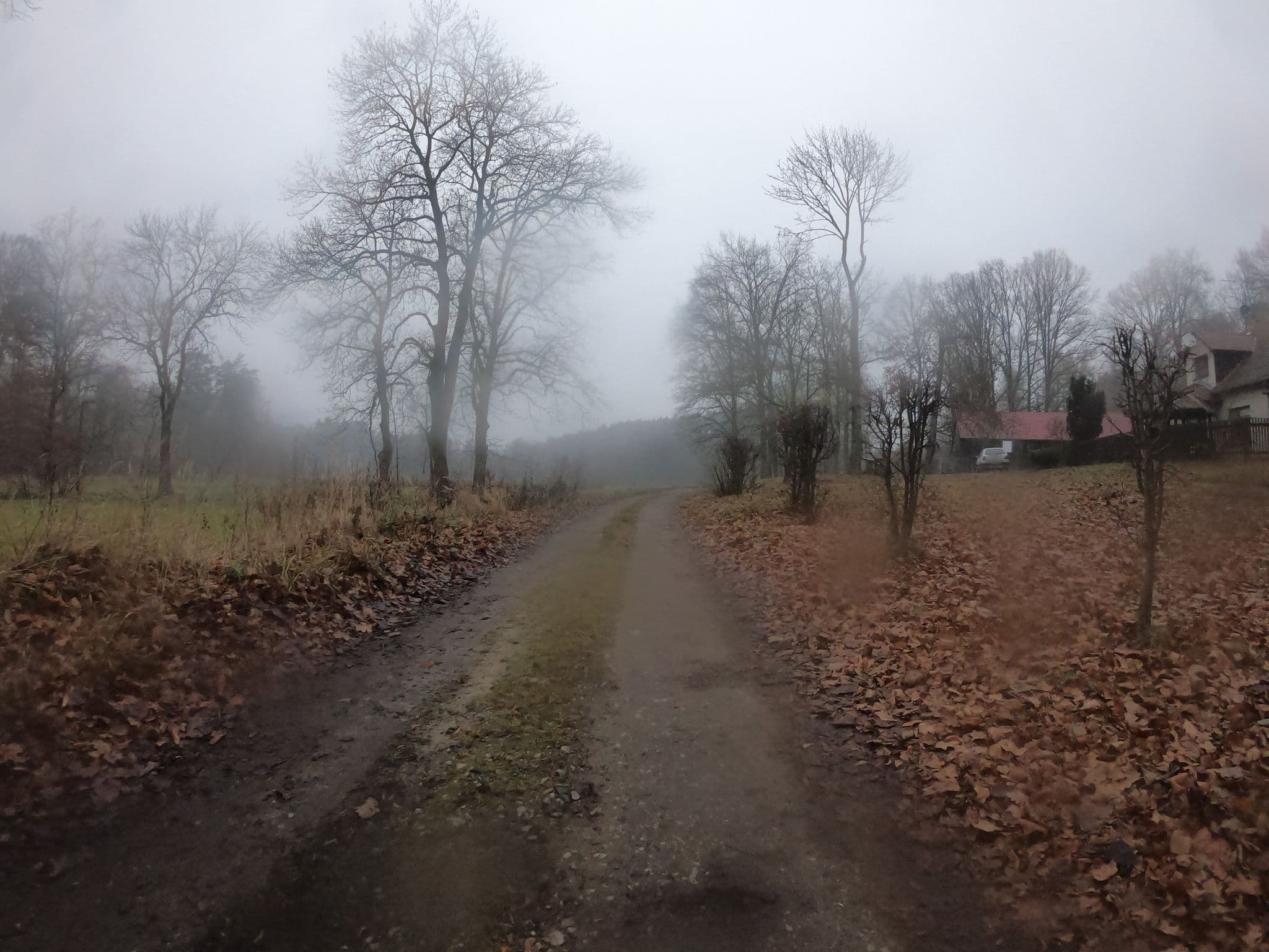 Street view near Leśniczówka Królewiec, Trzciel — © masterofnoroad (CC BY-SA · Mapillary)