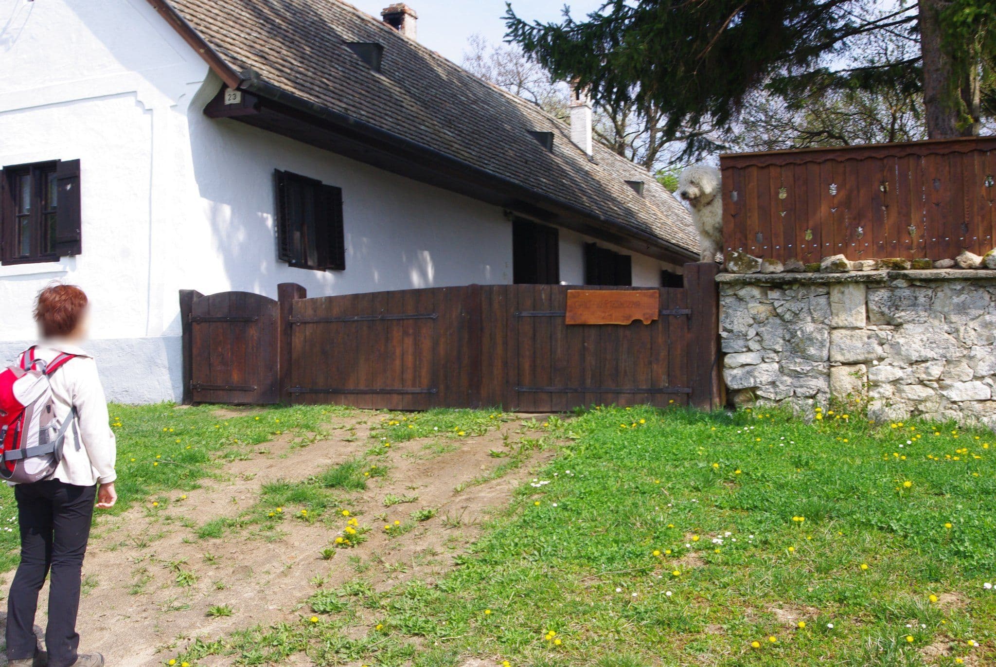 Street view near Boldogkert, Csákvár — © utvonalfelmeresek (CC BY-SA · Mapillary)
