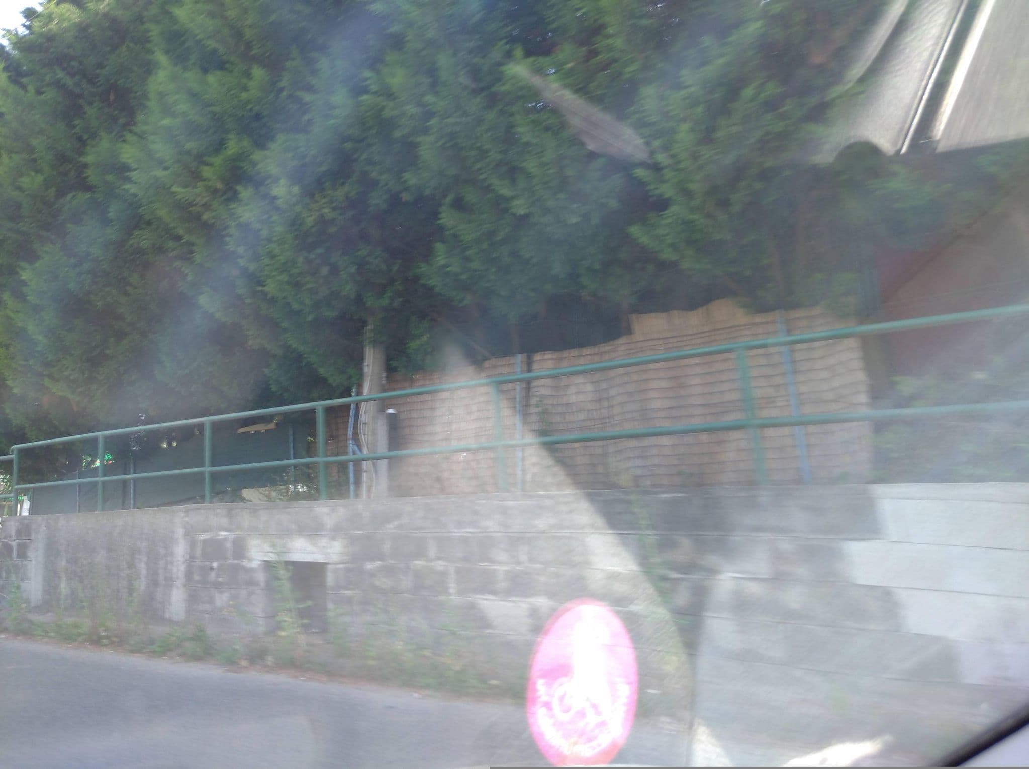 Street view near Seregélyesi Úti Munkásszálló, Székesfehérvár — © grozsa11 (CC BY-SA · Mapillary)