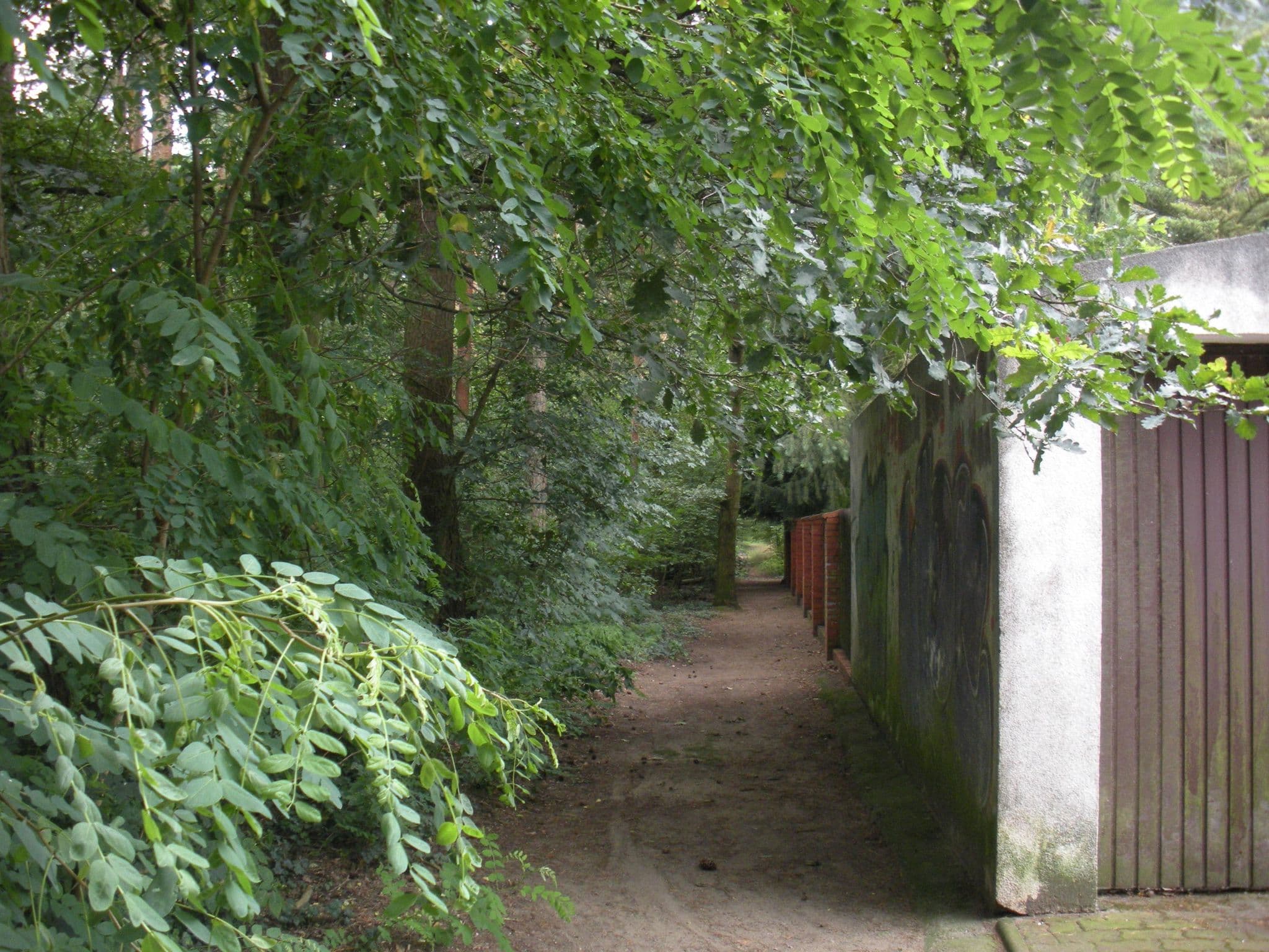 Street view near "J. B. Investment " Jan Baehr, Plewiska — © moje_konto (CC BY-SA · Mapillary)