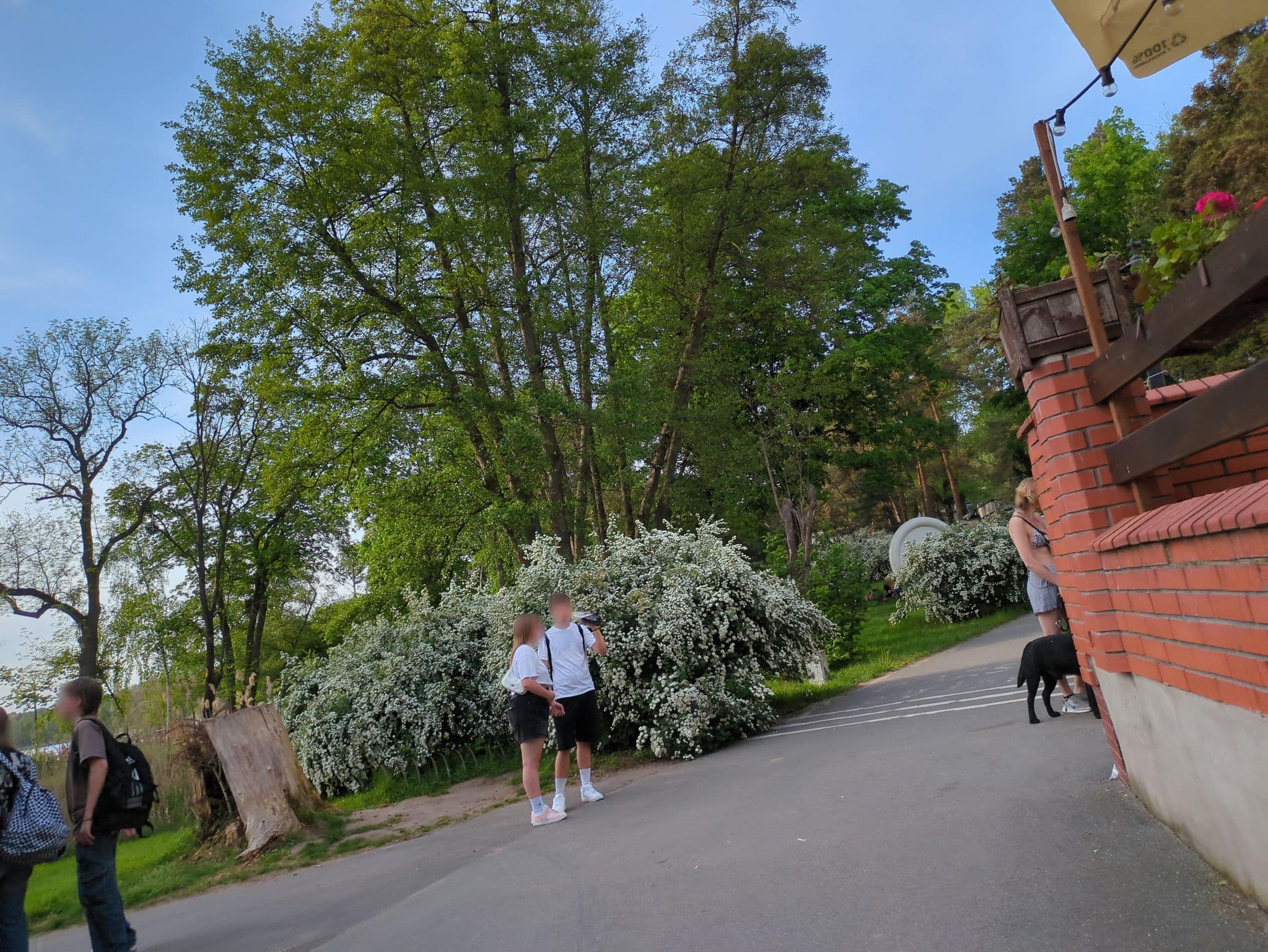 Street view near Hotel art and business, Suchy Las — © 6b17d8c50e264a46 (CC BY-SA · Mapillary)