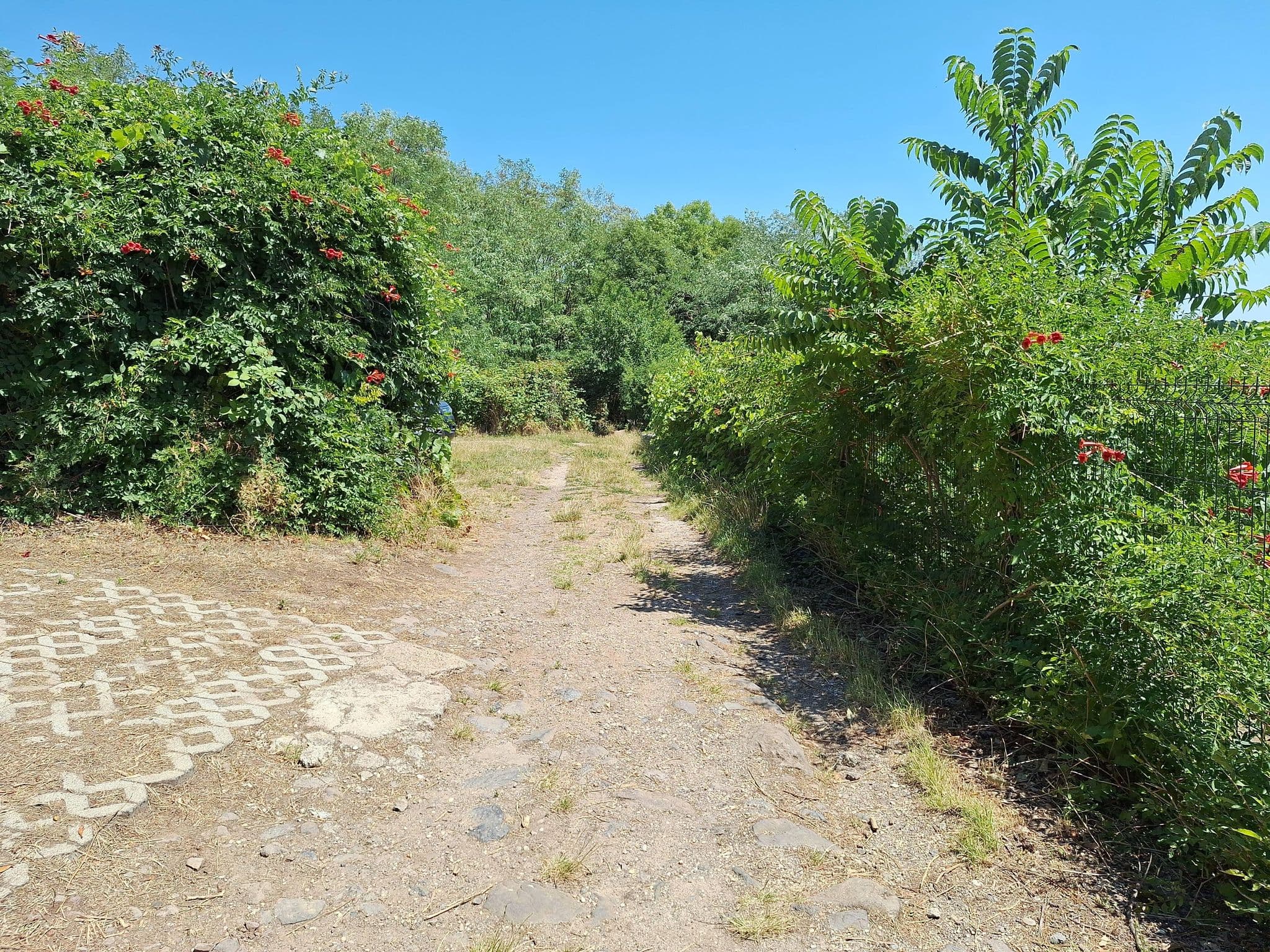 Street view near Szőlőskert Vendégház, Badacsonytomaj — © mmate (CC BY-SA · Mapillary)