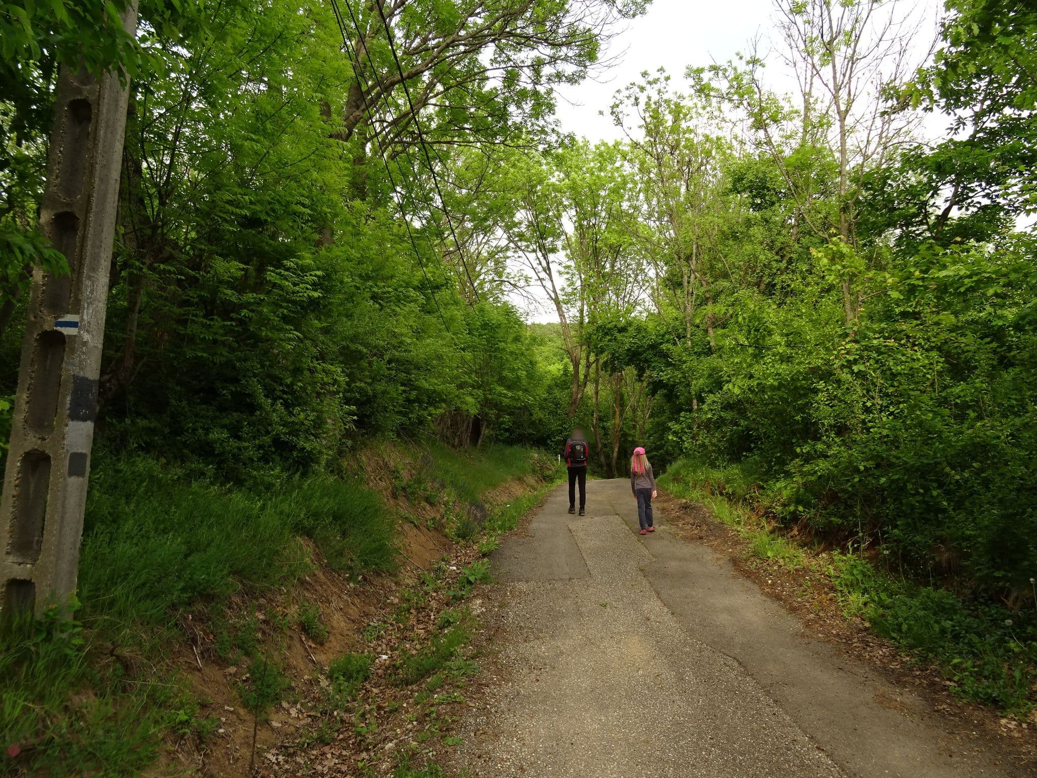 Street view near Kun-hegy vendégház, Gönc — © izsolt (CC BY-SA · Mapillary)