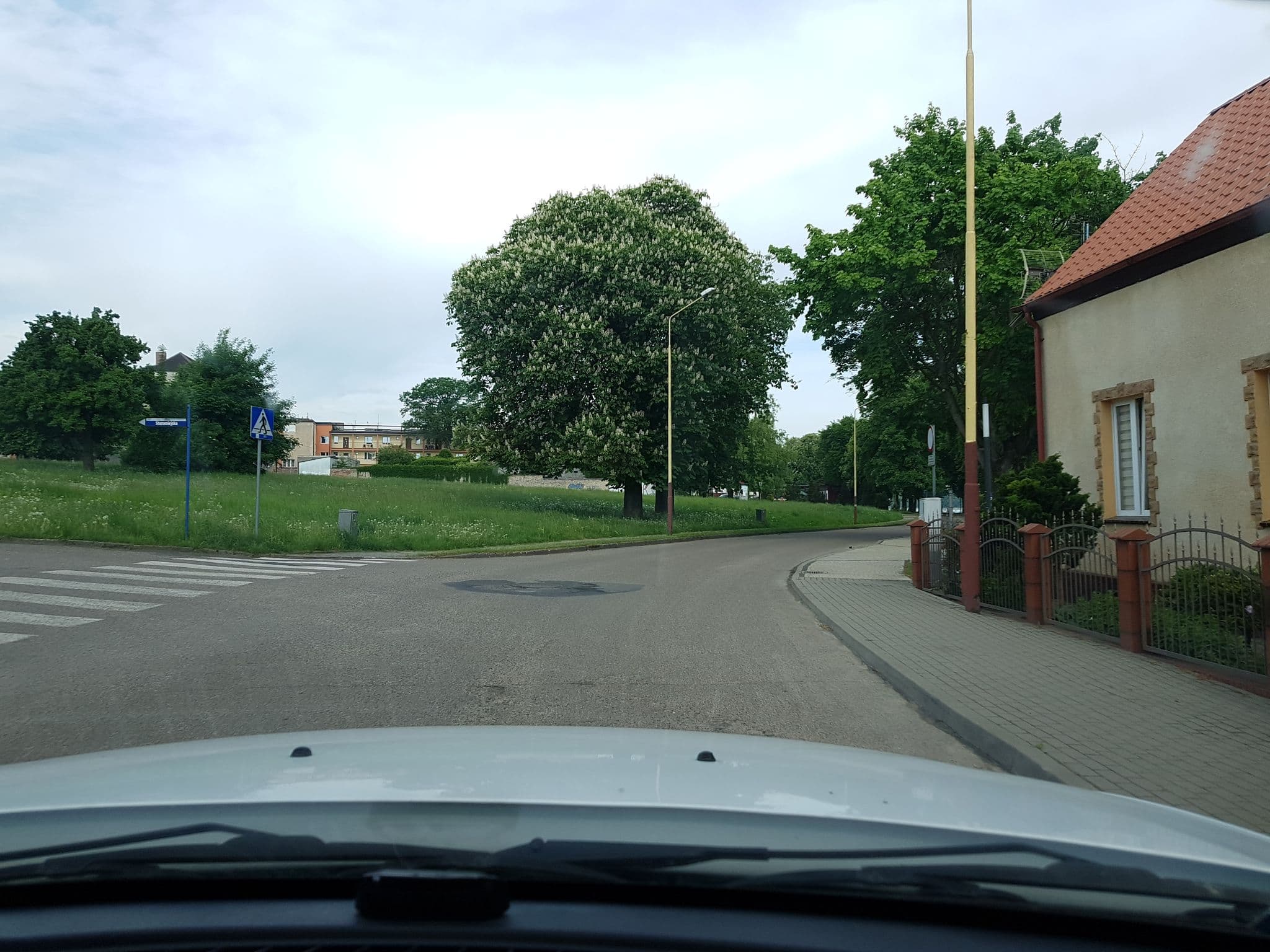 Street view near Gospodarstwo Rolne, Ińsko — © masterofnoroad (CC BY-SA · Mapillary)