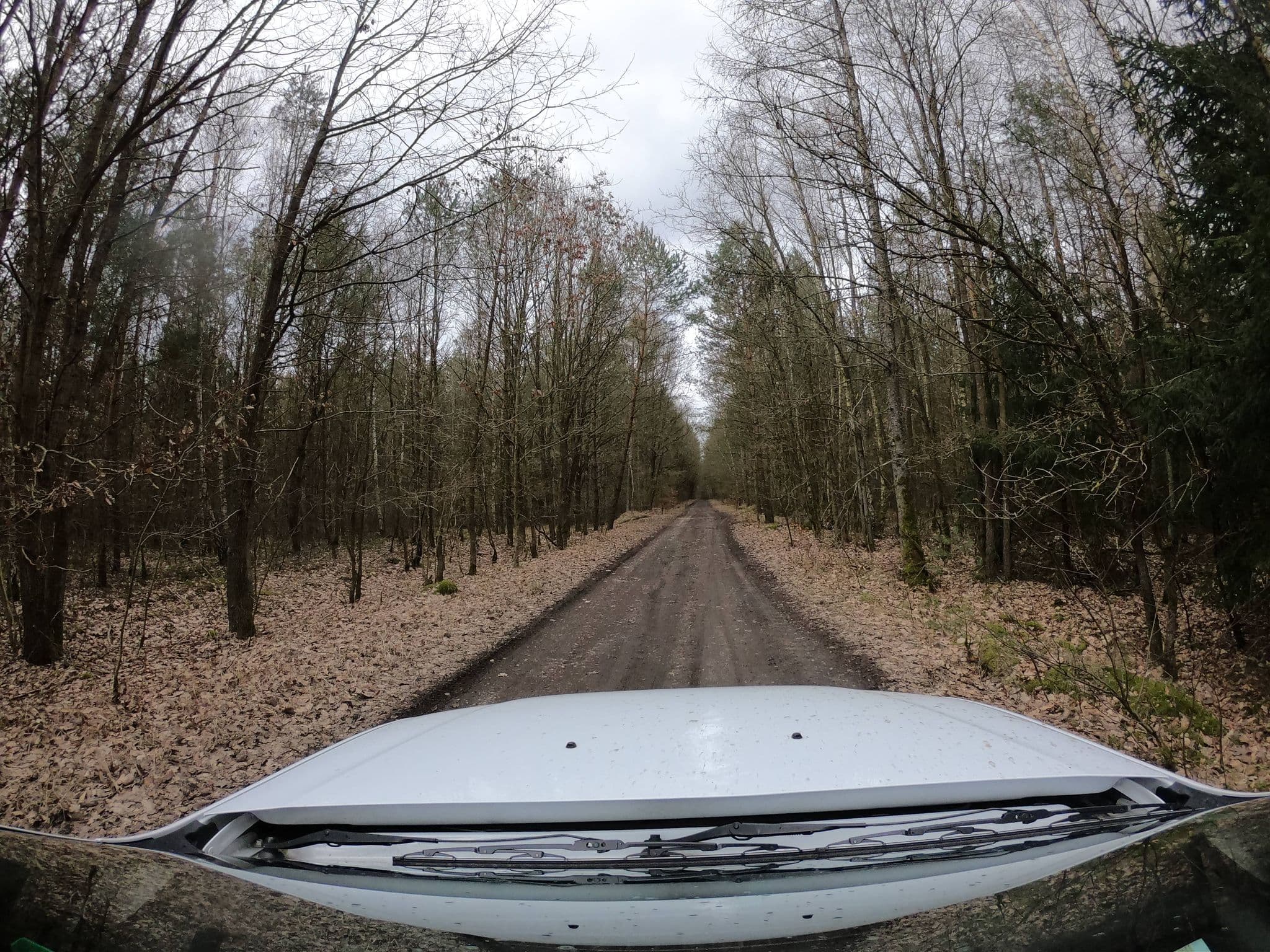 Street view near Spichlerz S.C. Przedsiębiorstwo Usługowo Handlowe Jefremienko Tomasz, Goleniów — © masterofnoroad (CC BY-SA · Mapillary)